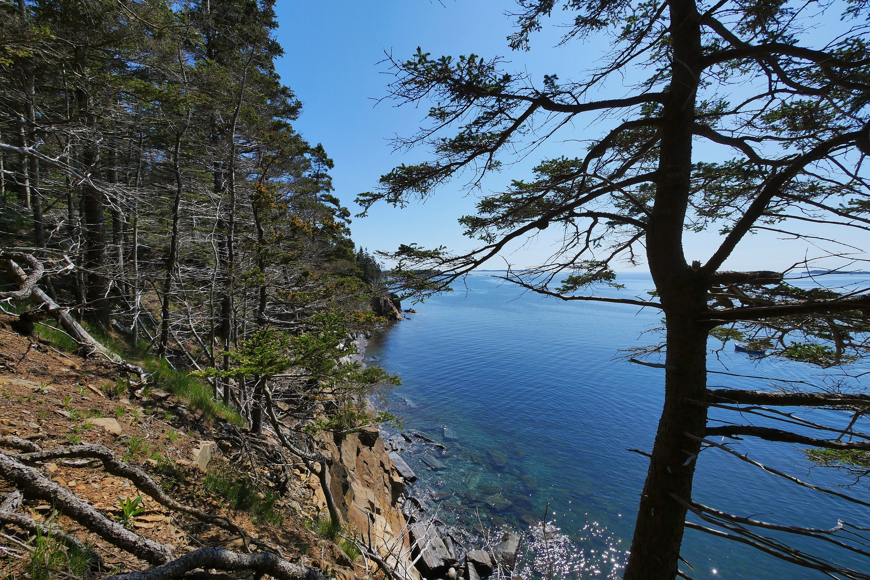  Feltzen South, South Shore - 物件實景