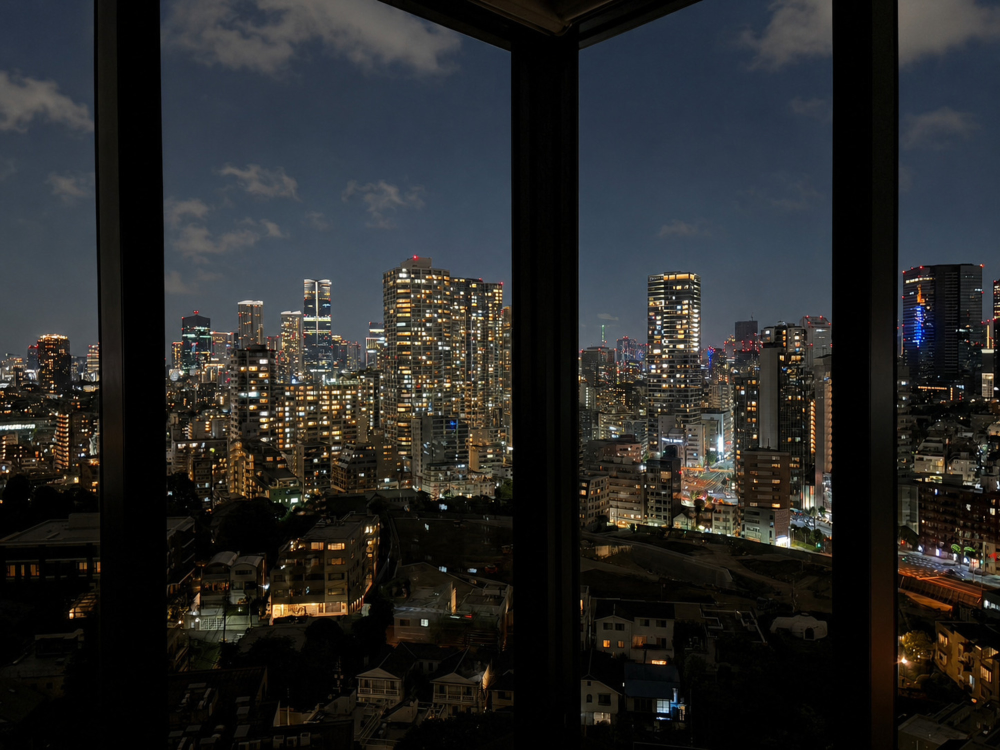  The Parkhouse Shirokane 2chome Tower - 物件實景