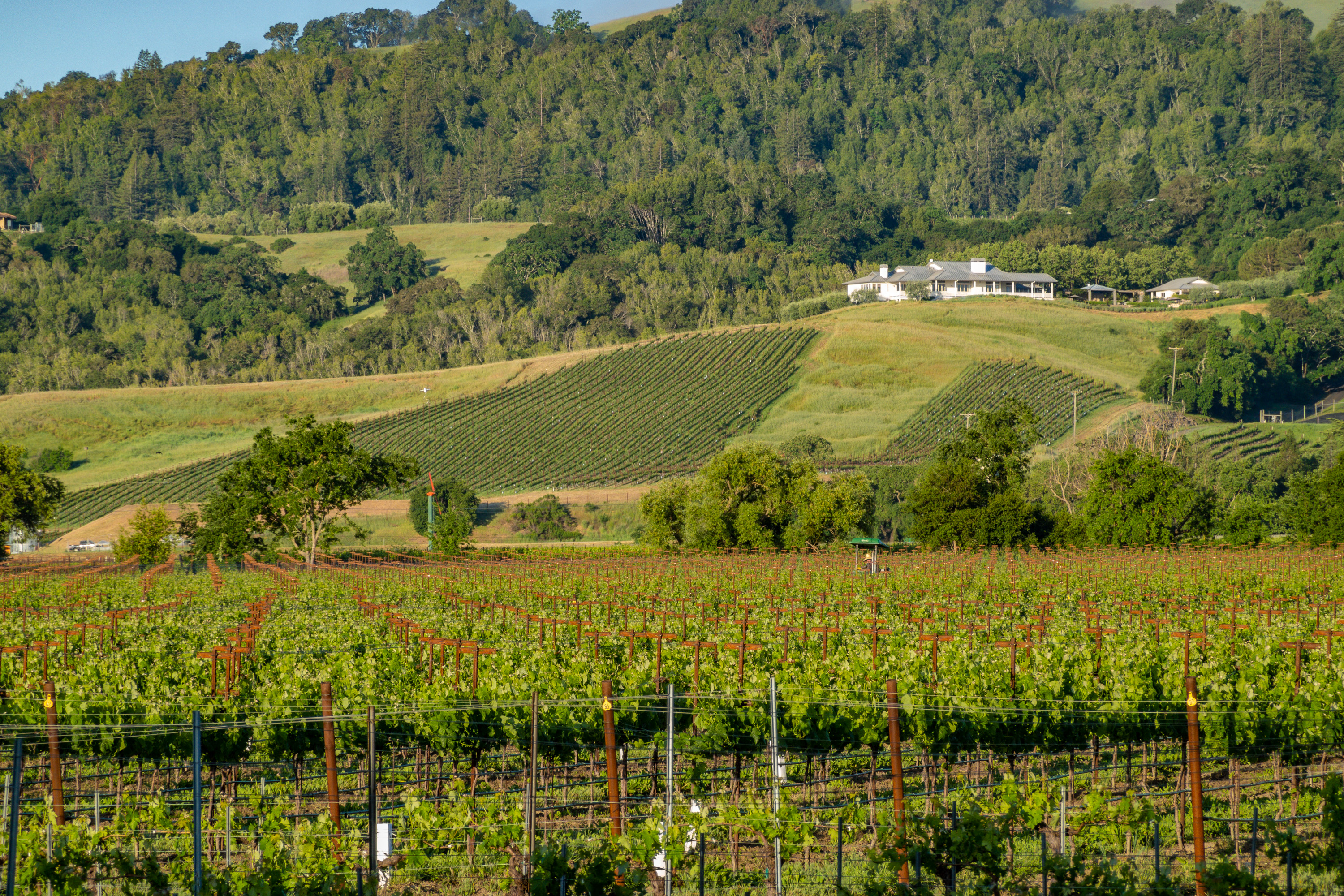  56-Acre Napa Valley Retreat - 物件實景