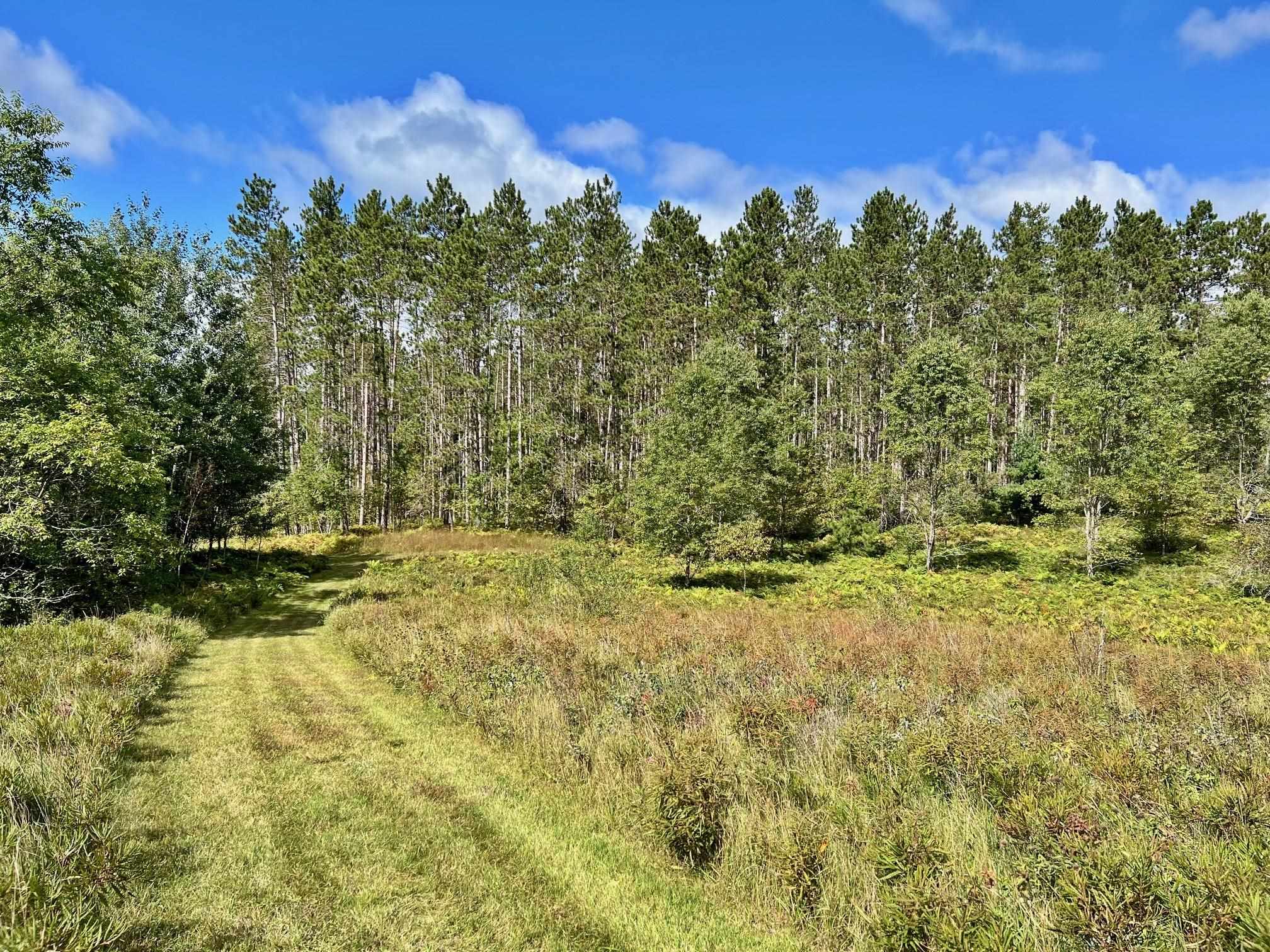 PEMBINE, Wisconsin, 54156, United States, ,Land,For Sale,1951029