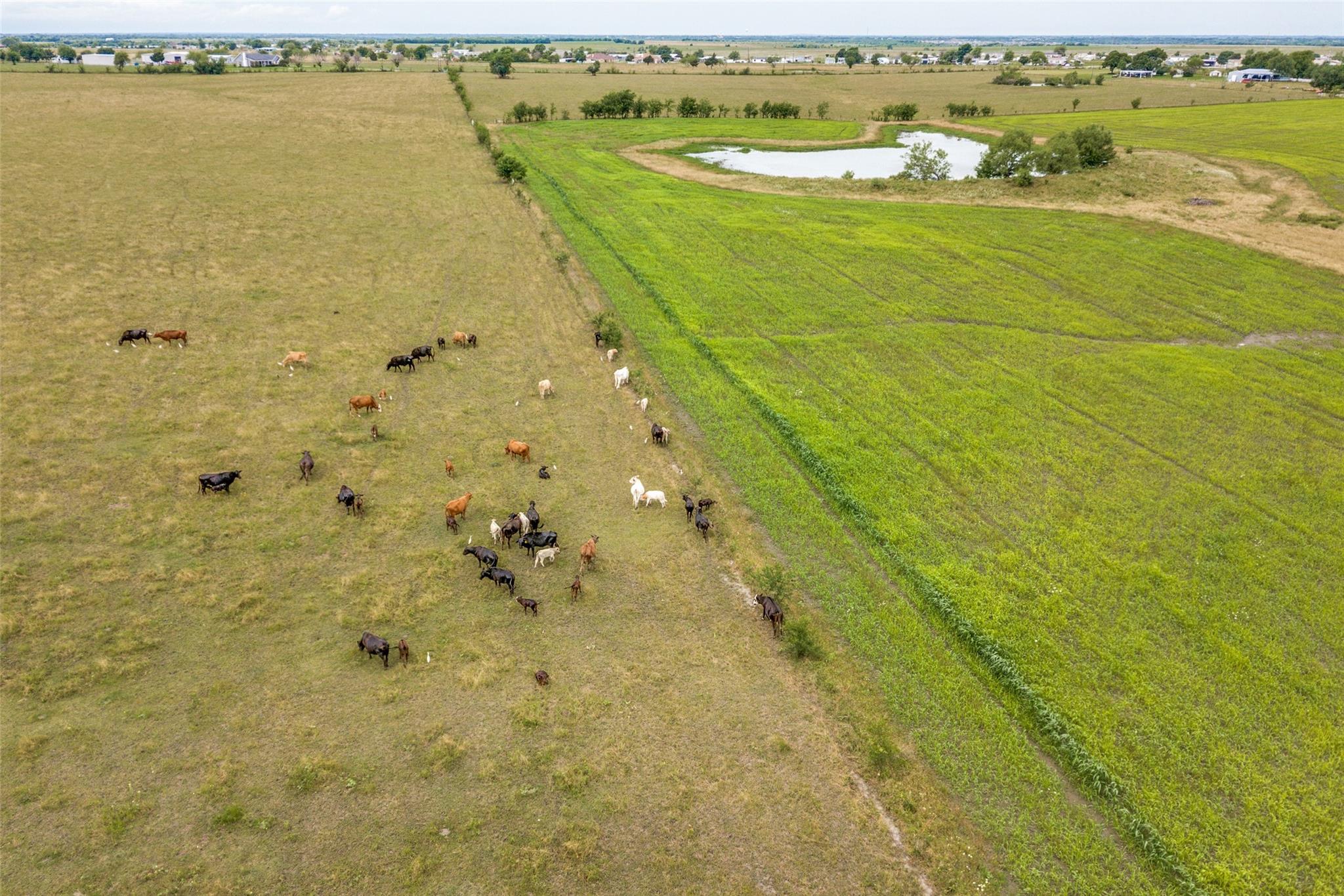 Crandall, Texas, 75114, United States, ,Land,For Sale,1978935