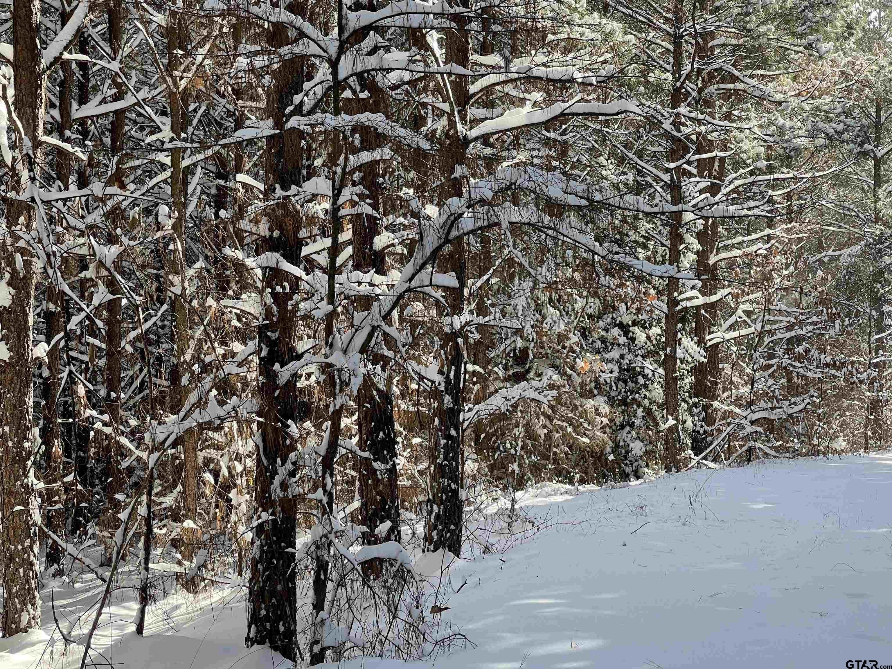 Lone Star, Texas, 75668, United States, 2 Bedrooms Bedrooms, ,1 BathroomBathrooms,Residential,For Sale,1979709