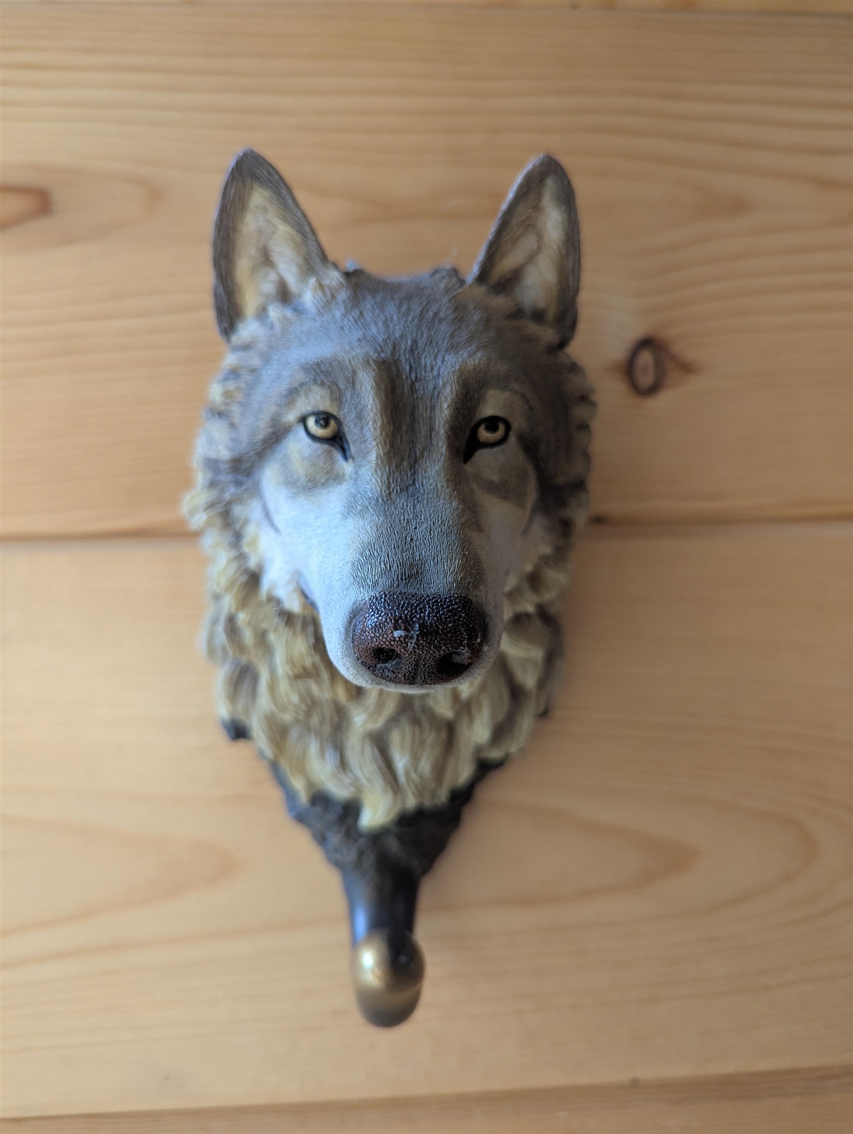 Friendship, Wisconsin, 53934, United States, 4 Bedrooms Bedrooms, ,2 BathroomsBathrooms,Residential,For Sale,1976127