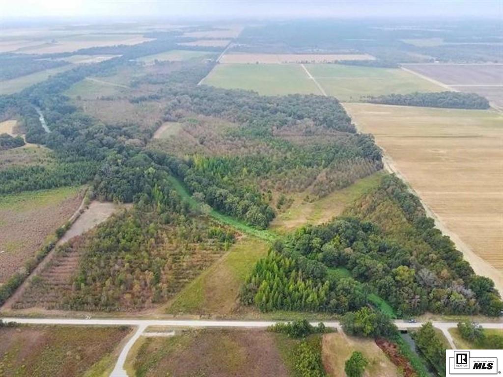 491 FORTENBERRY ROAD, Rayville, Louisiana, 71269, United States, ,Land,For Sale,491 FORTENBERRY ROAD,1683362