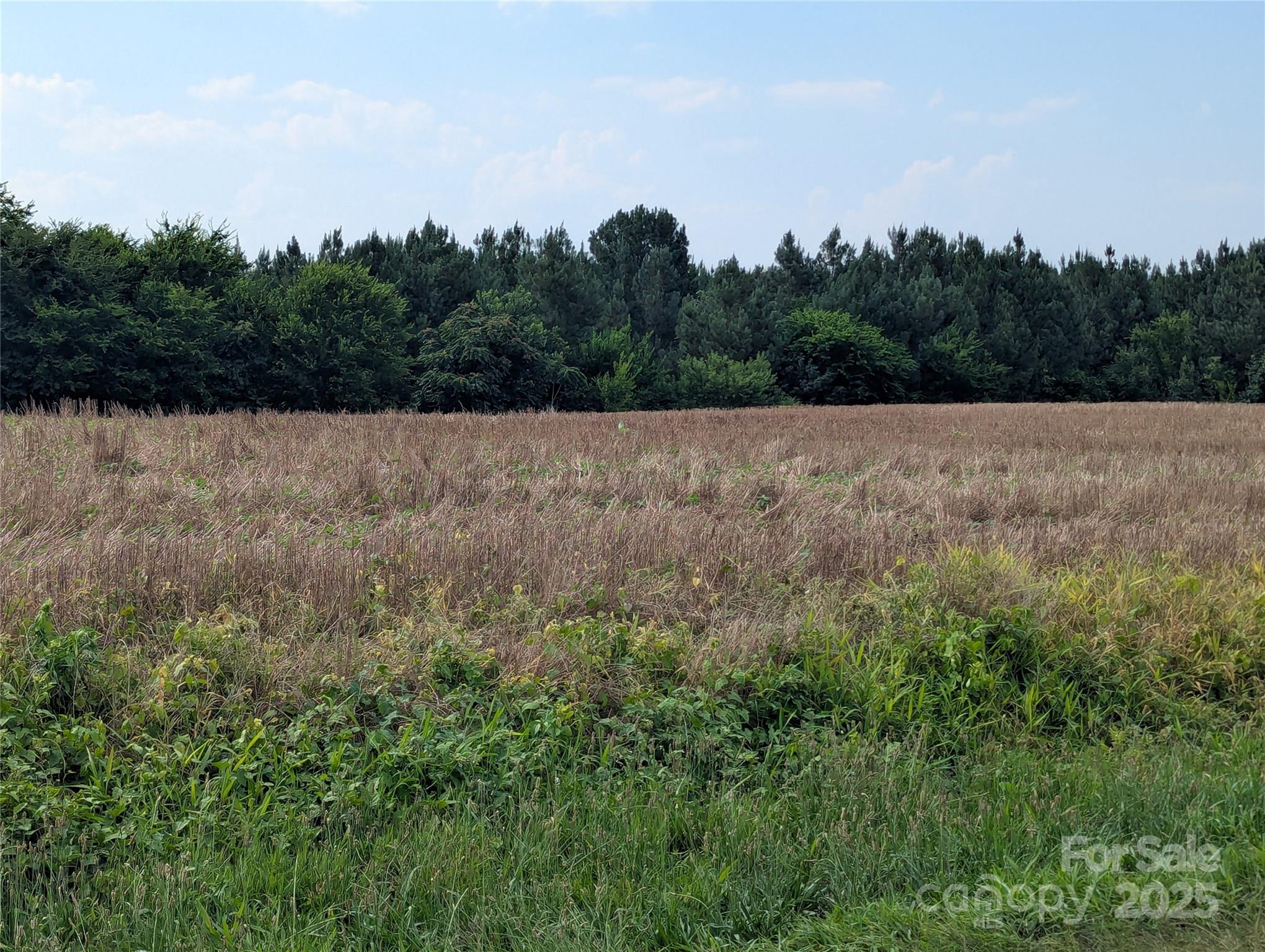 Polkton, North Carolina, 28135, United States, ,Land,For Sale,1976298
