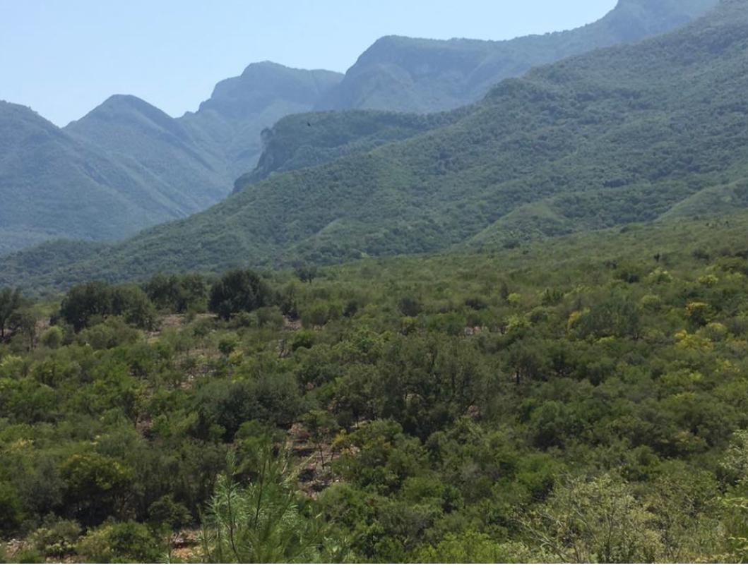 El Barrial, Santiago, Nuevo León, 67323, Mexico, 1 Bedroom Bedrooms, ,Residential,For Sale,El Barrial,1621120