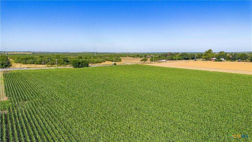 Mcqueeney, Texas, 78123, United States, ,Land,For Sale,1980081