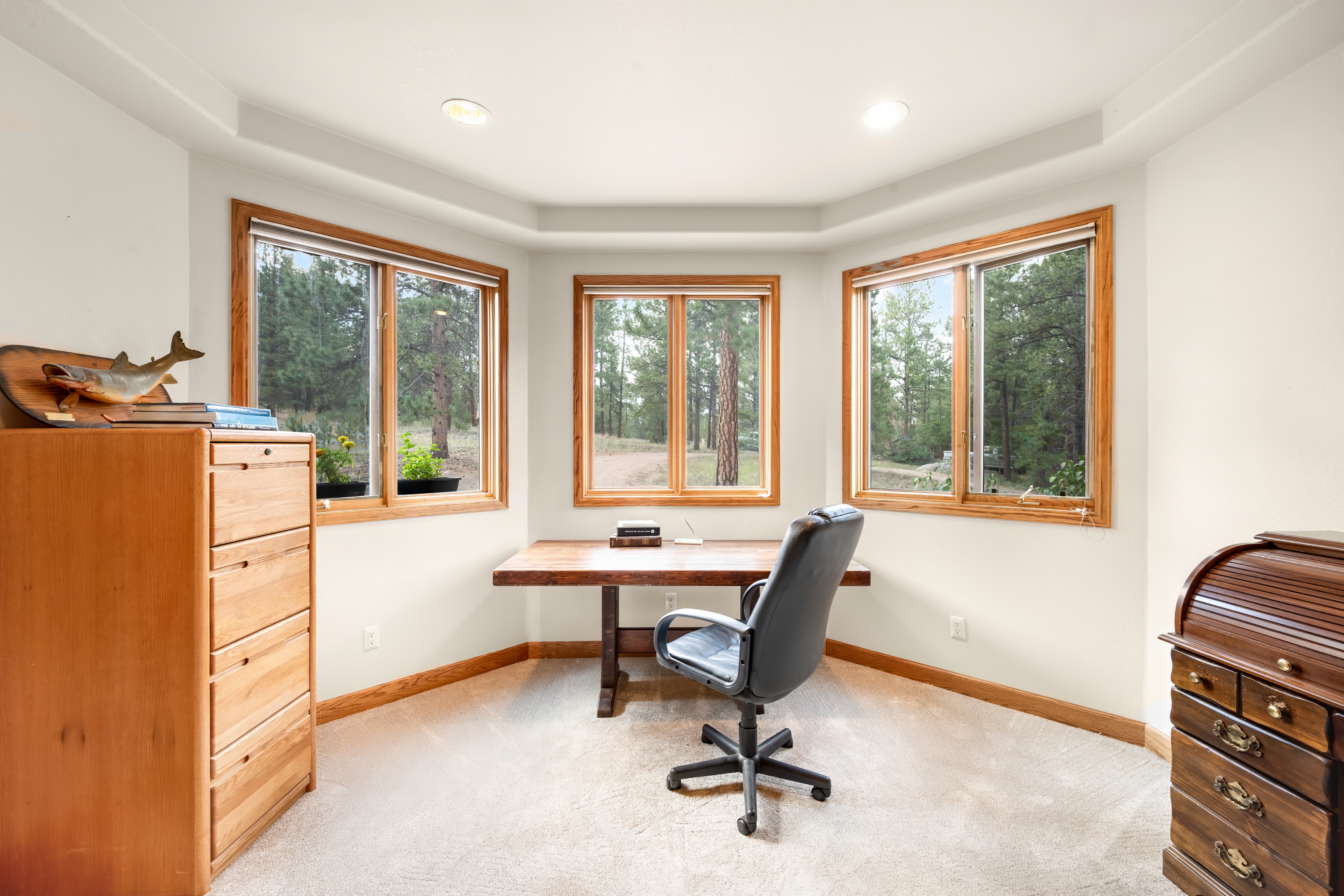 Colorado Living in Impressive 8,200 sq ft Home Backing to Pike National Forest - 物件實景