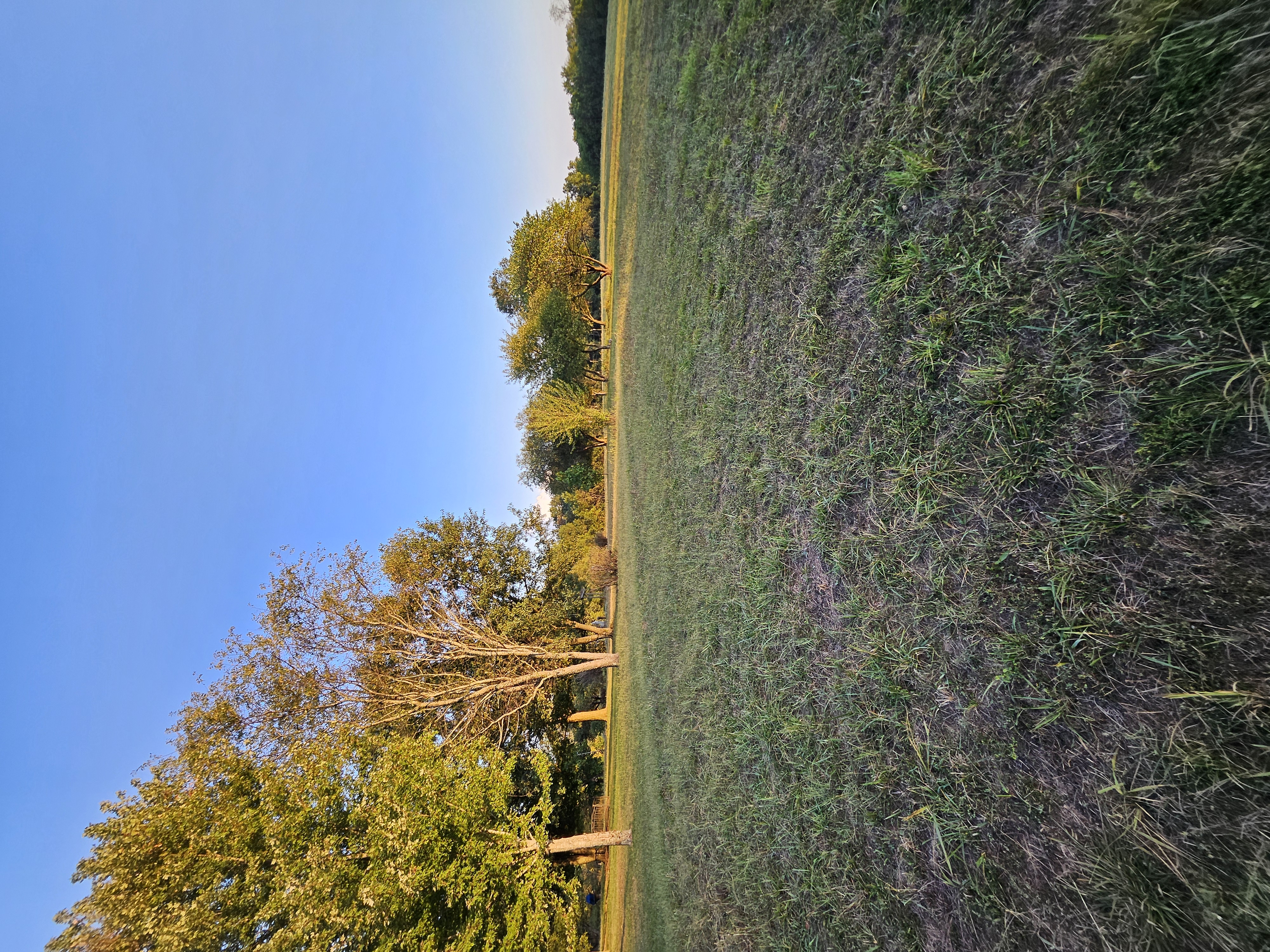 Pierce City, Missouri, 65723, United States, 5 Bedrooms Bedrooms, ,3 BathroomsBathrooms,Residential,For Sale,1975319