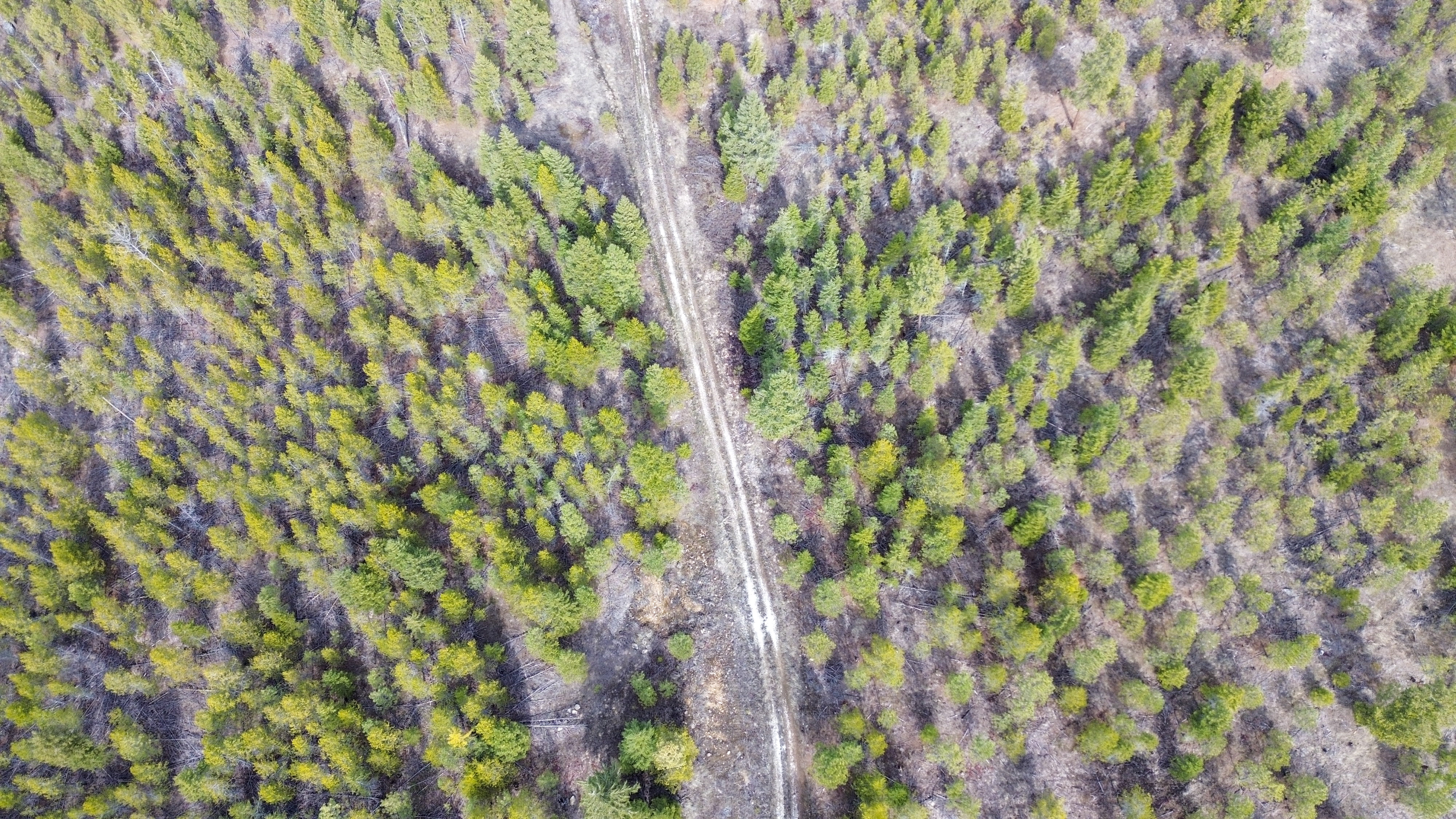 Valley, Washington, 99181, United States, ,Land,For Sale,1979391