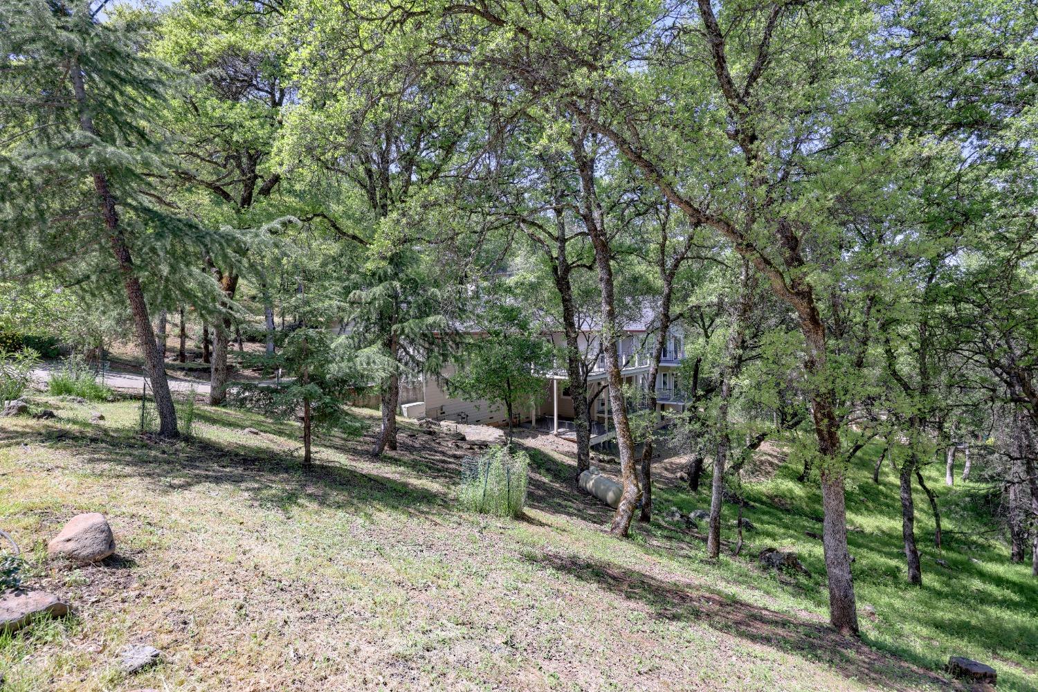 Penn Valley, California, 95946, United States, 3 Bedrooms Bedrooms, ,3 BathroomsBathrooms,Residential,For Sale,1784644