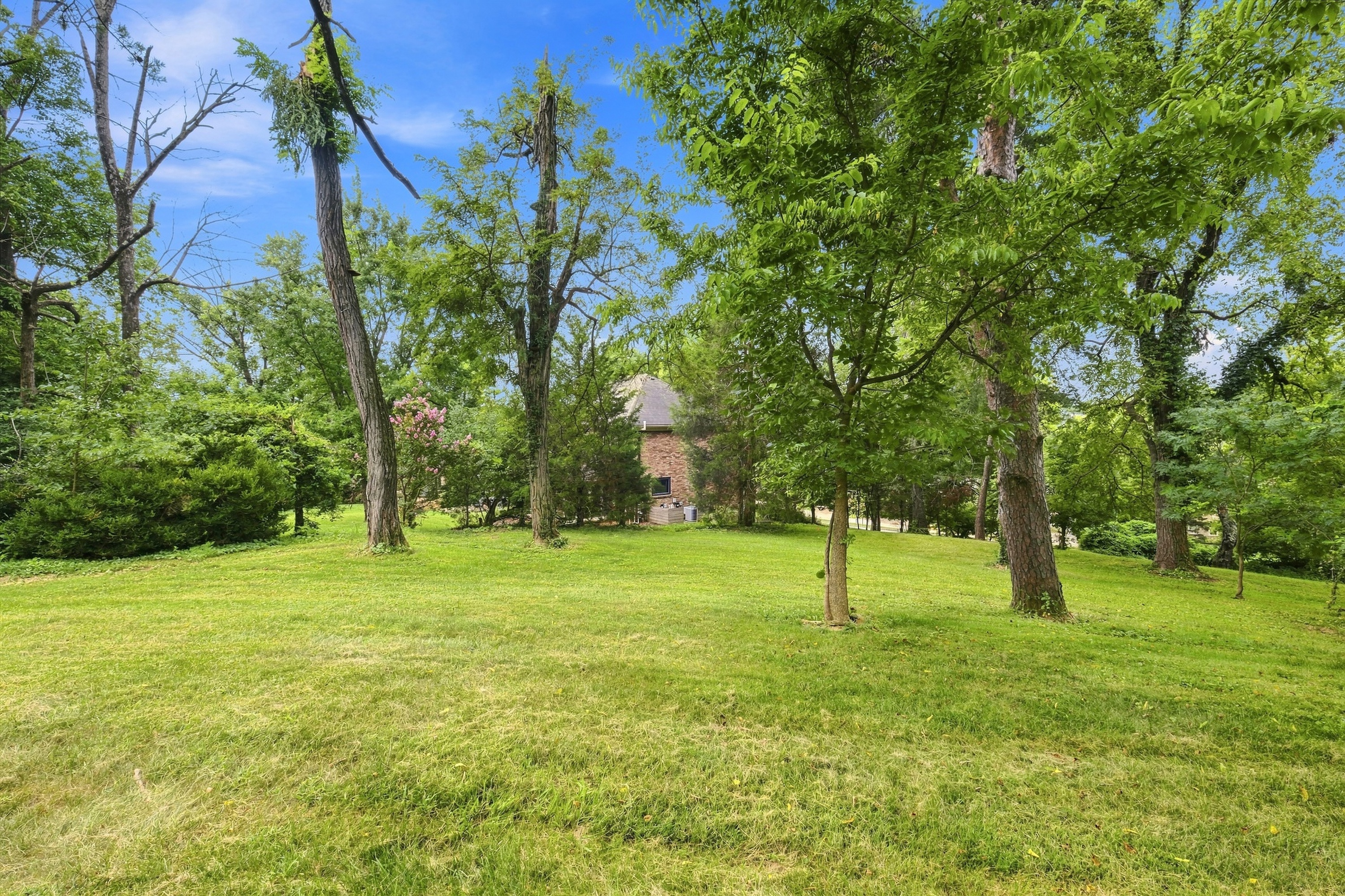  1510 Sylvan Way, Louisville, KY 40205 - 物件實景