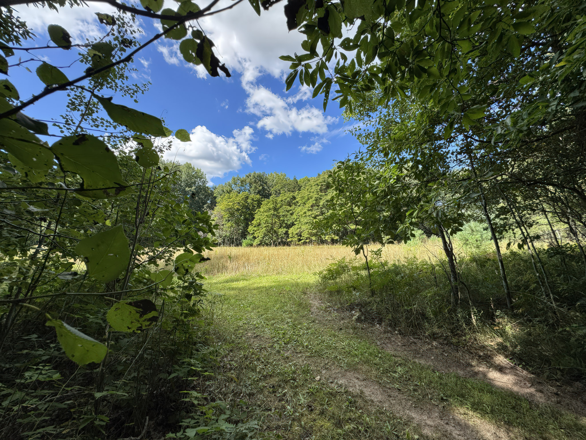 Branch, Michigan, 49402, United States, 1 Bedroom Bedrooms, ,1 BathroomBathrooms,Residential,For Sale,2001233