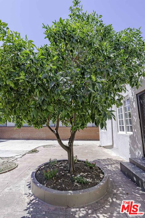 1232 Westchester Pl, Los Angeles, California, 90019, United States, 5 Bedrooms Bedrooms, ,5 BathroomsBathrooms,Residential,For Sale,1232 Westchester Pl,1662622