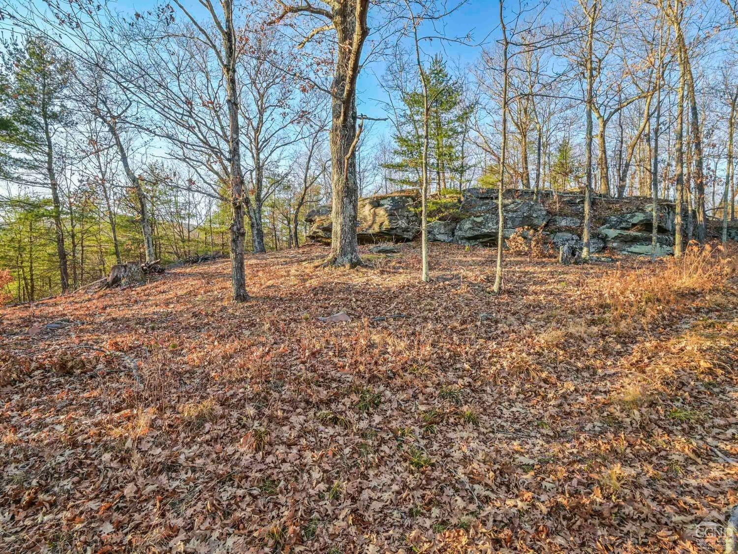 Jewett, New York, 12444, United States, 3 Bedrooms Bedrooms, ,2 BathroomsBathrooms,Residential,For Sale,1927489