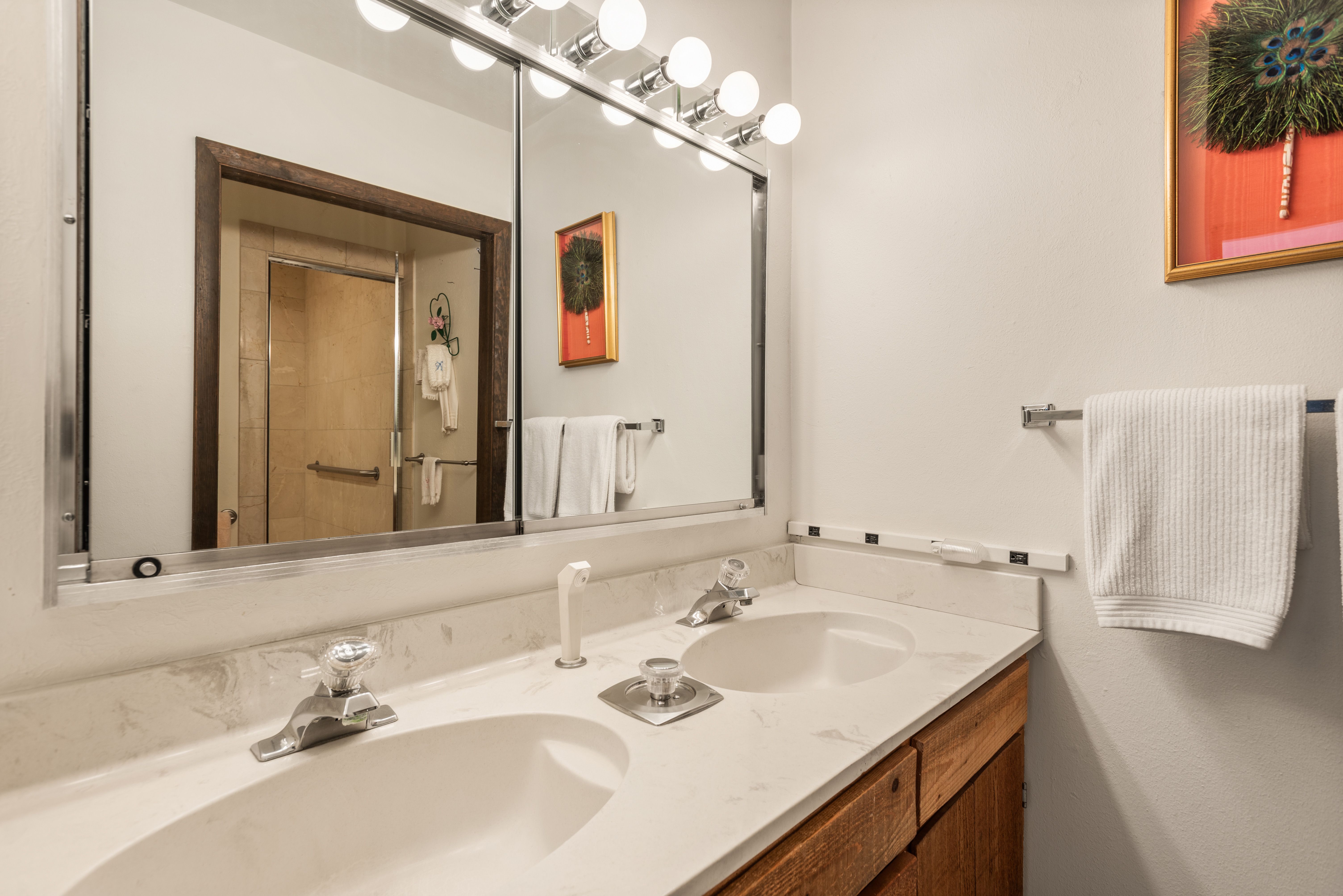  246 Roaring Fork Drive, Aspen, CO, 81611 - 物件實景