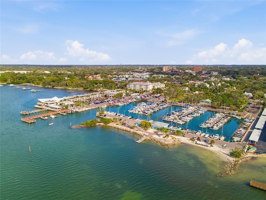 Dunedin, Florida, 34698, United States, 3 Bedrooms Bedrooms, ,2 BathroomsBathrooms,Residential,For Sale,2003433