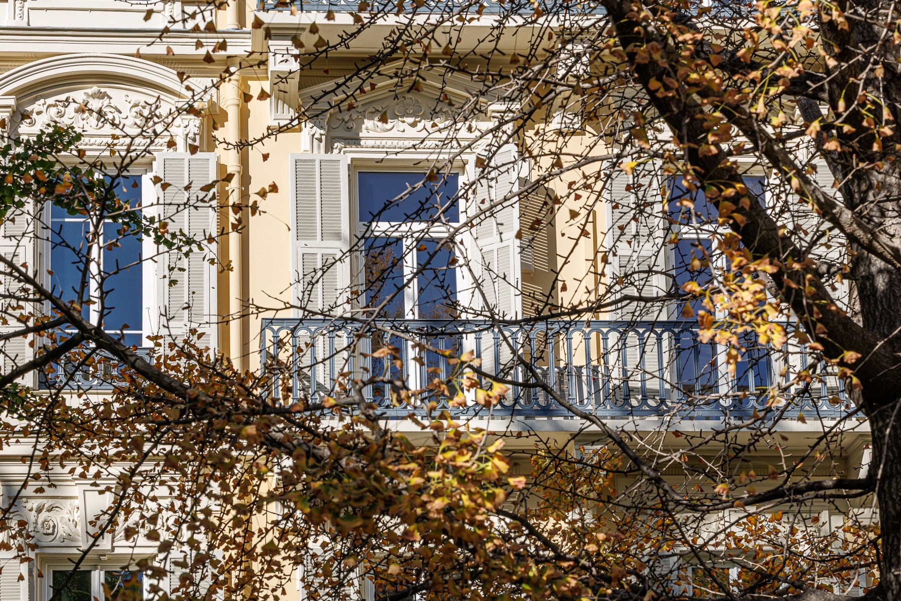  Belle époque apartment to renovate in Nice, outstanding potentiel, 190 m² – Wil… - 物件實景