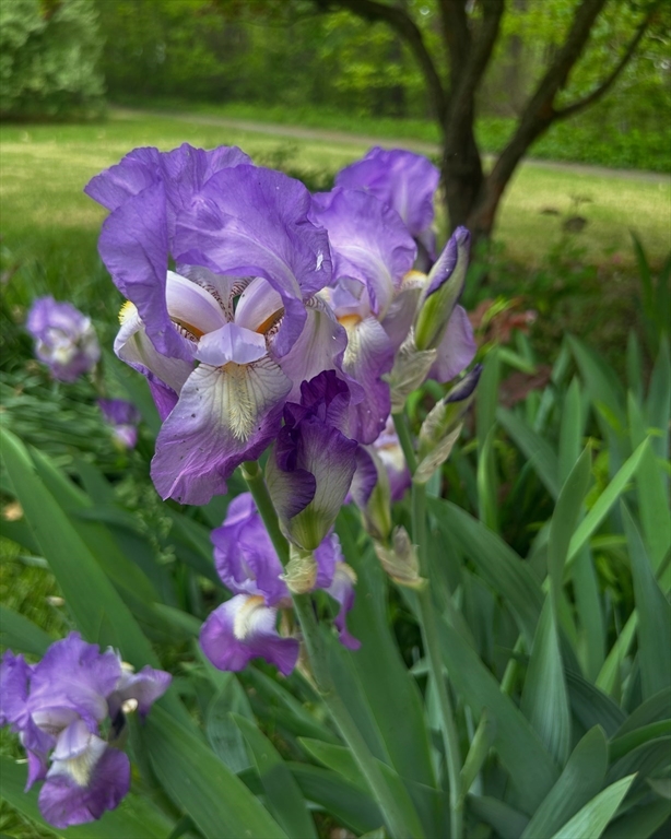Rowley, Massachusetts, 01969, United States, 3 Bedrooms Bedrooms, ,1 BathroomBathrooms,Residential,For Sale,1988090