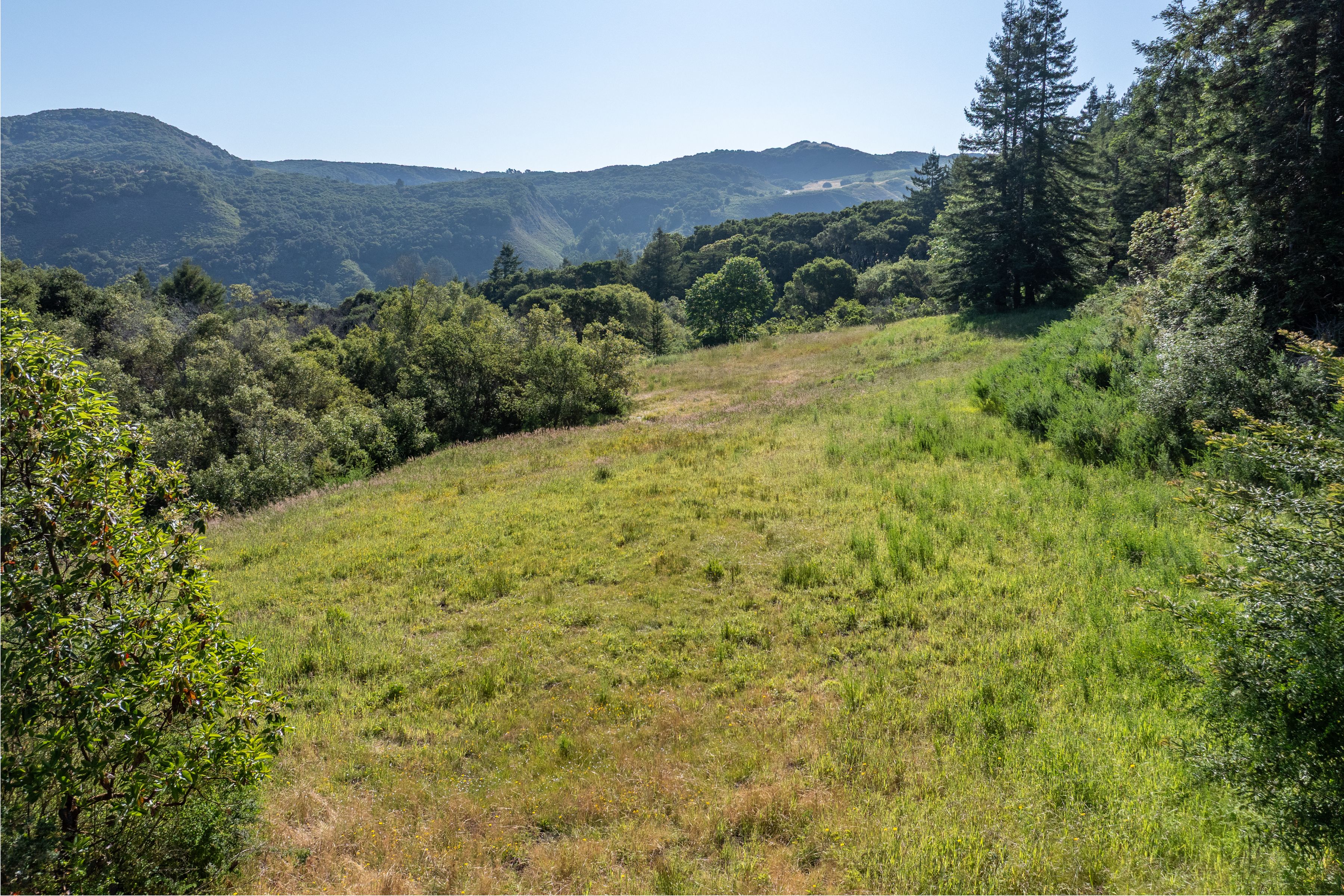  15 Potrero Trail (Lot 188) - 物件實景