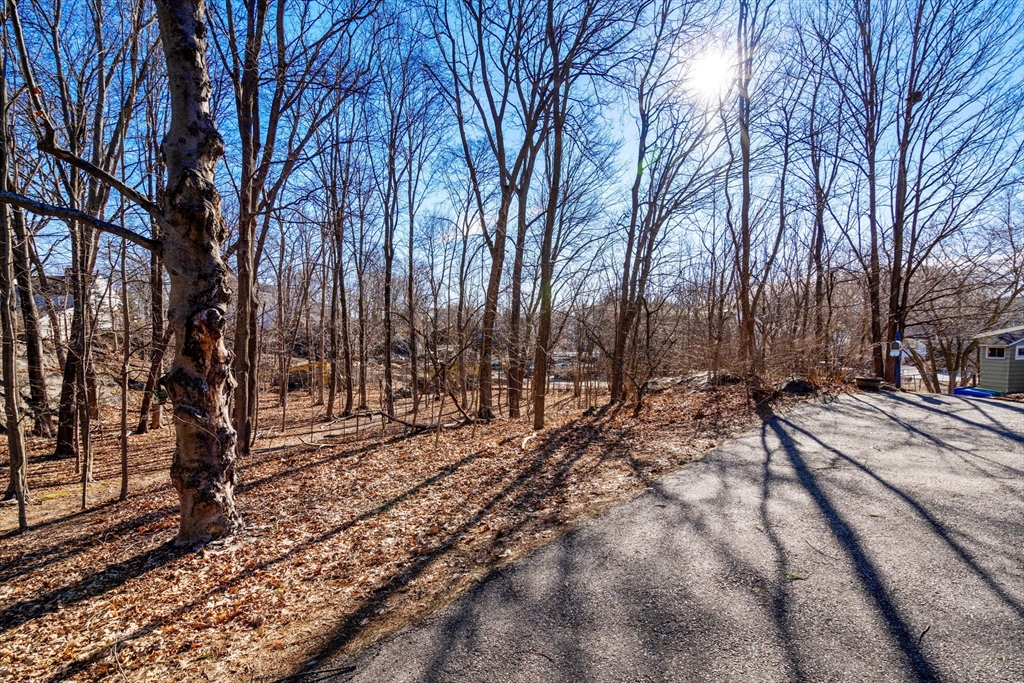 Newton, Massachusetts, 02464, United States, ,Land,For Sale,1736679