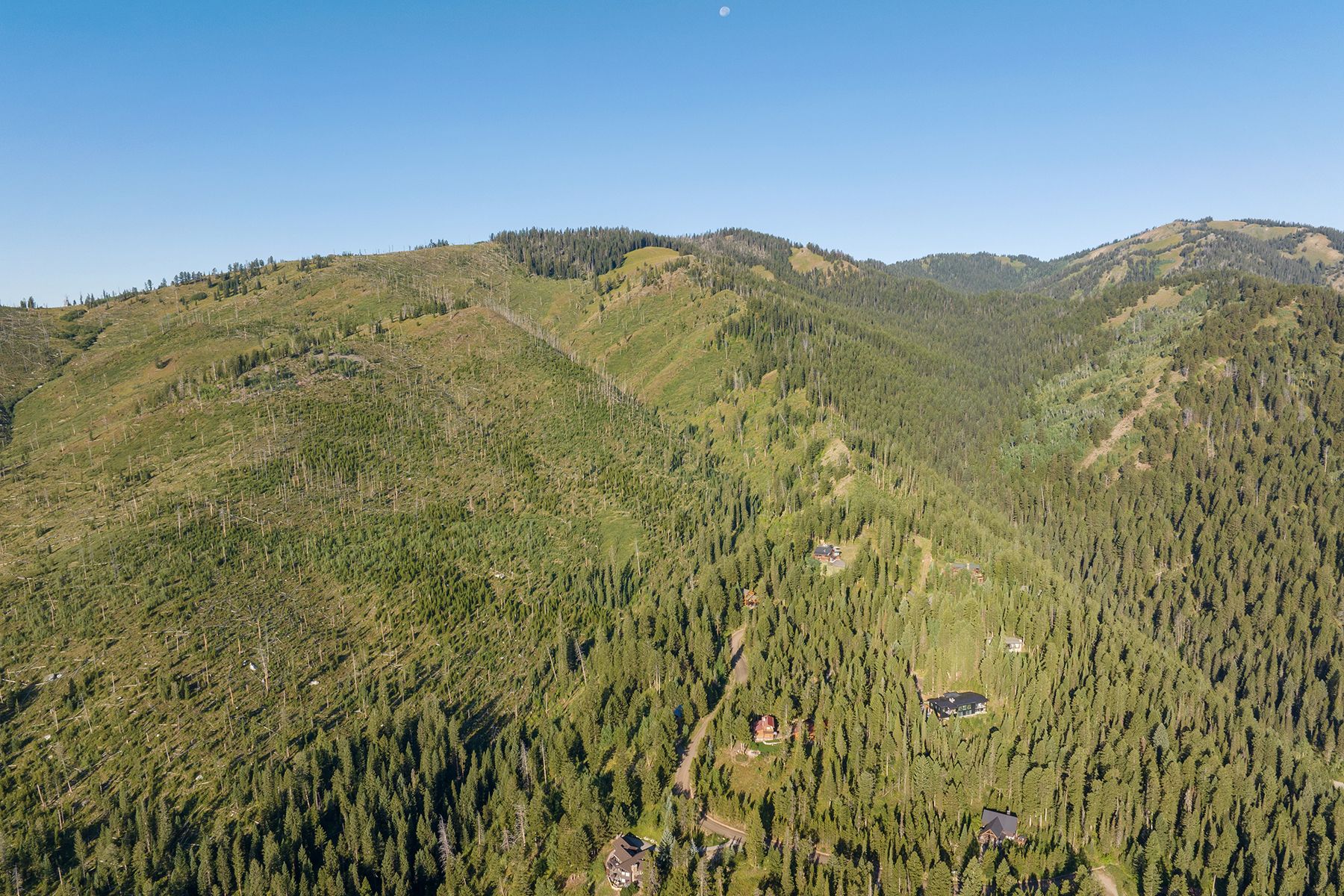  Wilson Acreage Bordering Bridger-Teton National Forest - 物件實景