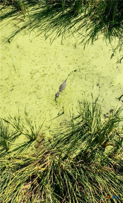 Port Lavaca, Texas, 77979, United States, 4 Bedrooms Bedrooms, ,5 BathroomsBathrooms,Residential,For Sale,1989257