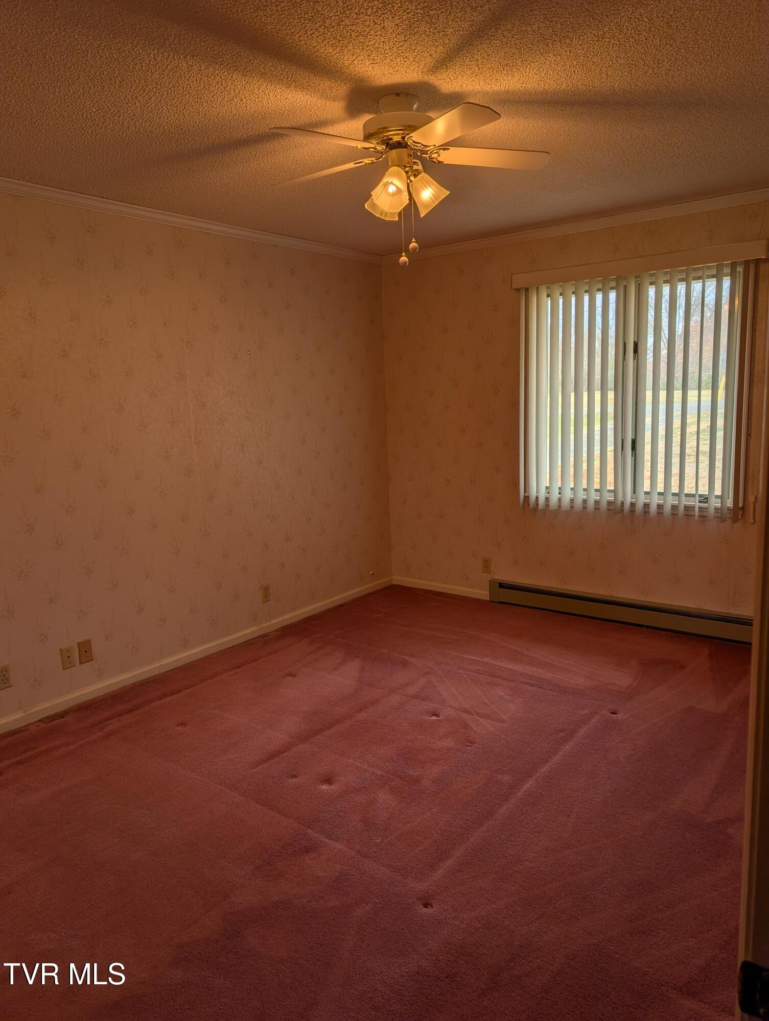 Johnson City, Tennessee, 37604, United States, 4 Bedrooms Bedrooms, ,3 BathroomsBathrooms,Residential,For Sale,1978550