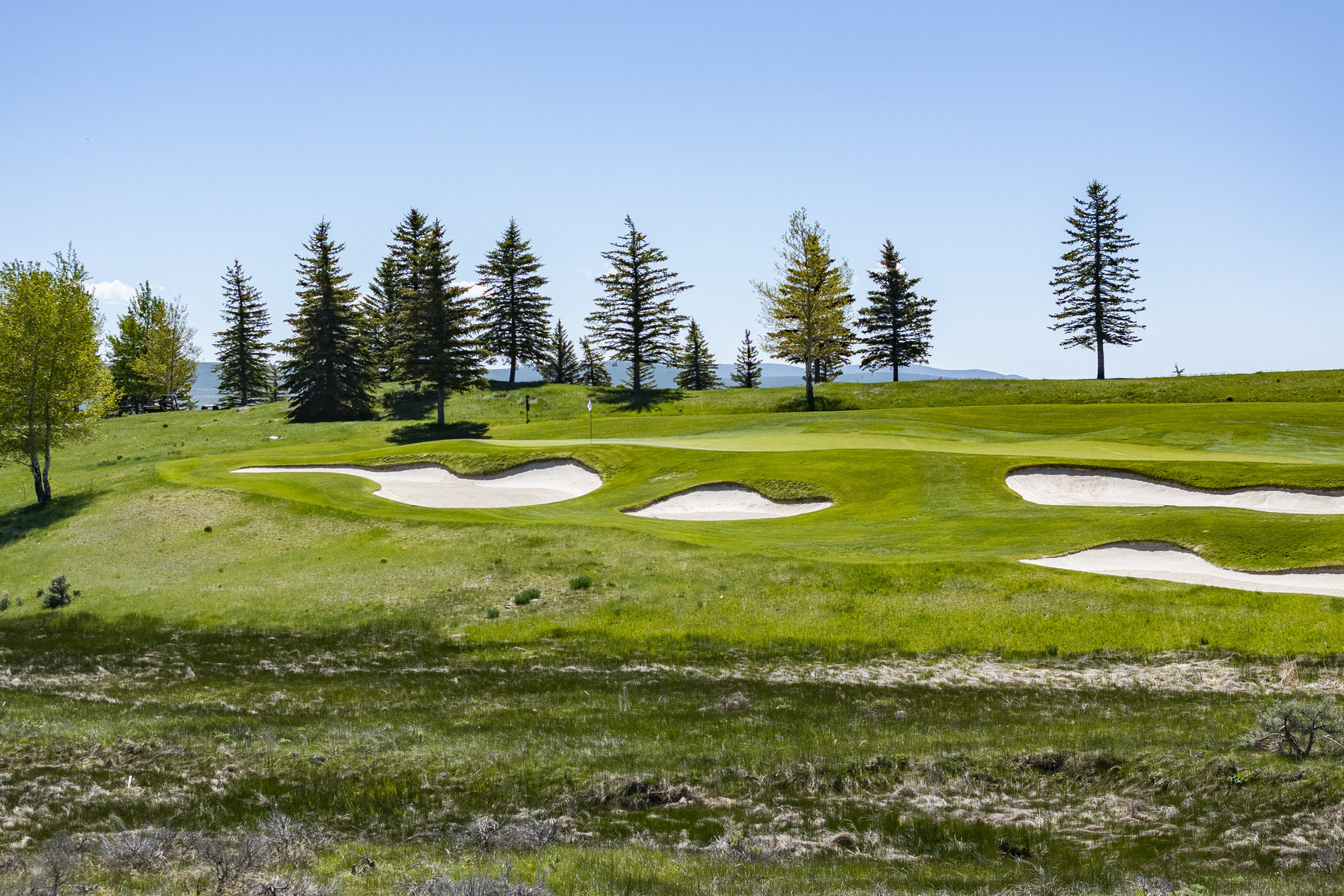  South-facing, Flat Lot on the 4th Green at Glenwild with Ski Resort Views - 物件實景