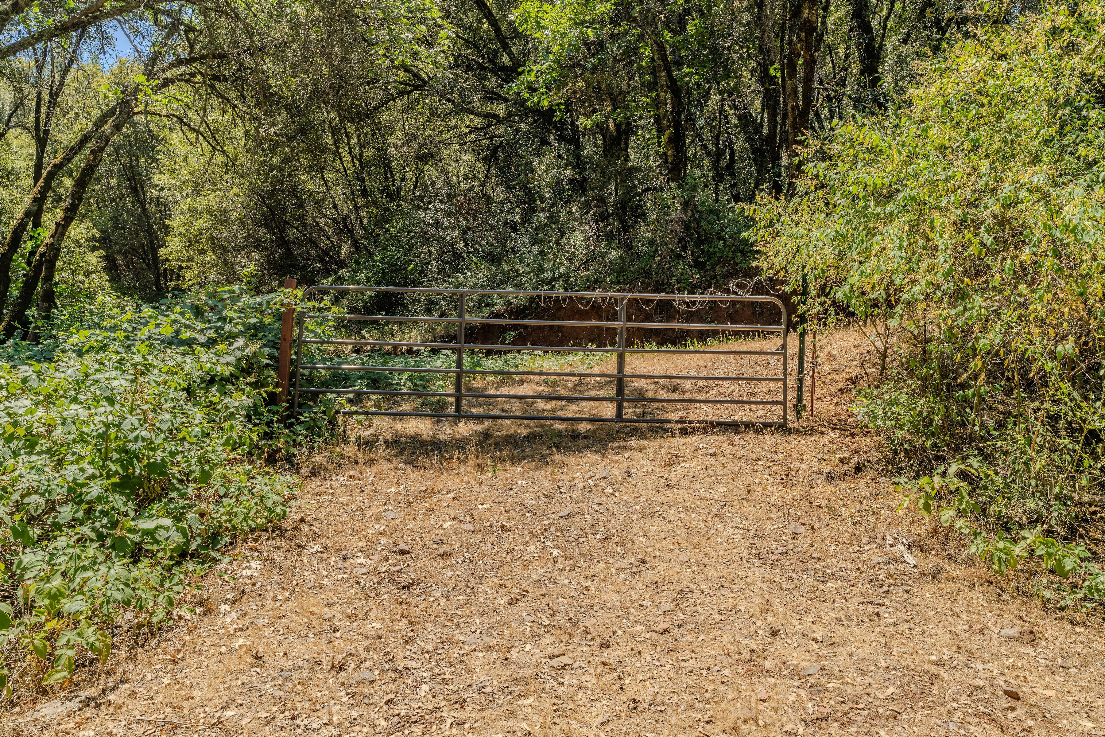  16000 Sutter Creek Road, Sutter Creek, CA 95685 - 物件實景