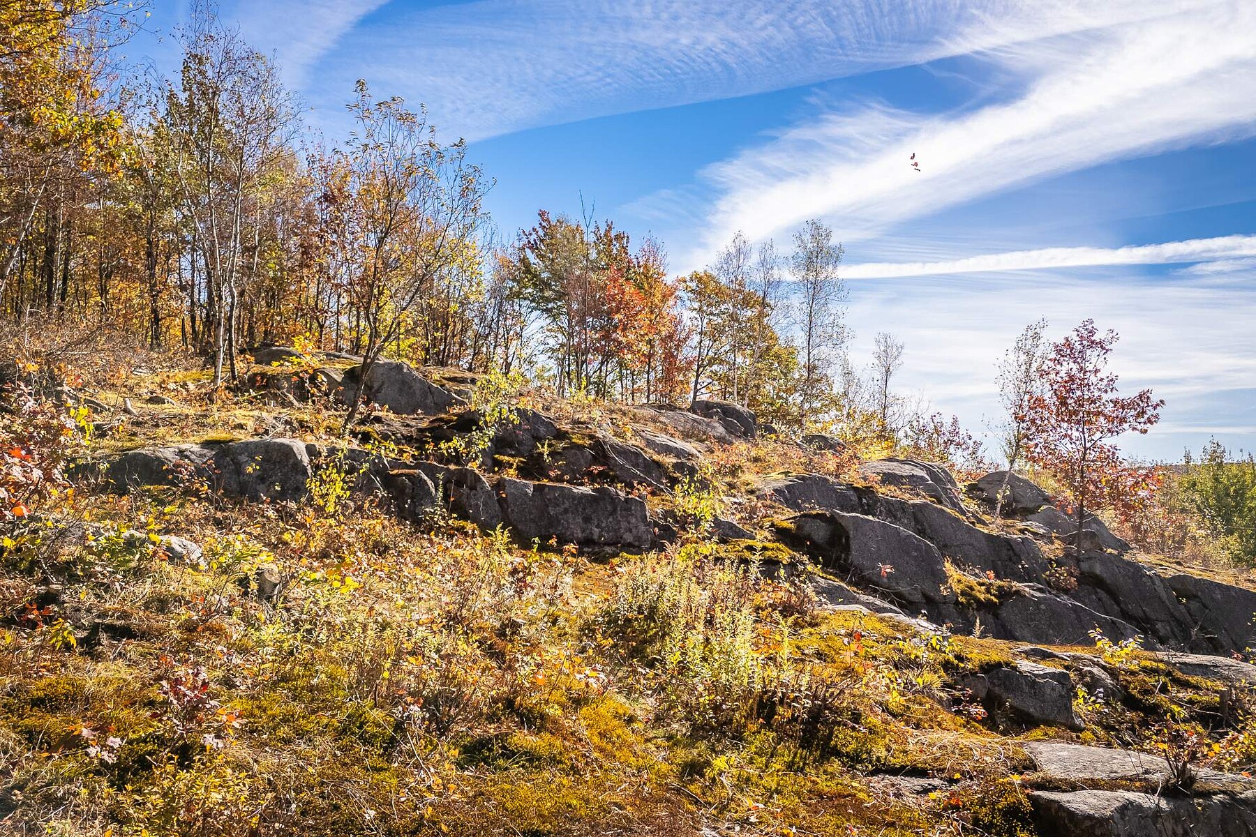  Shefford, Eastern Townships - 物件實景