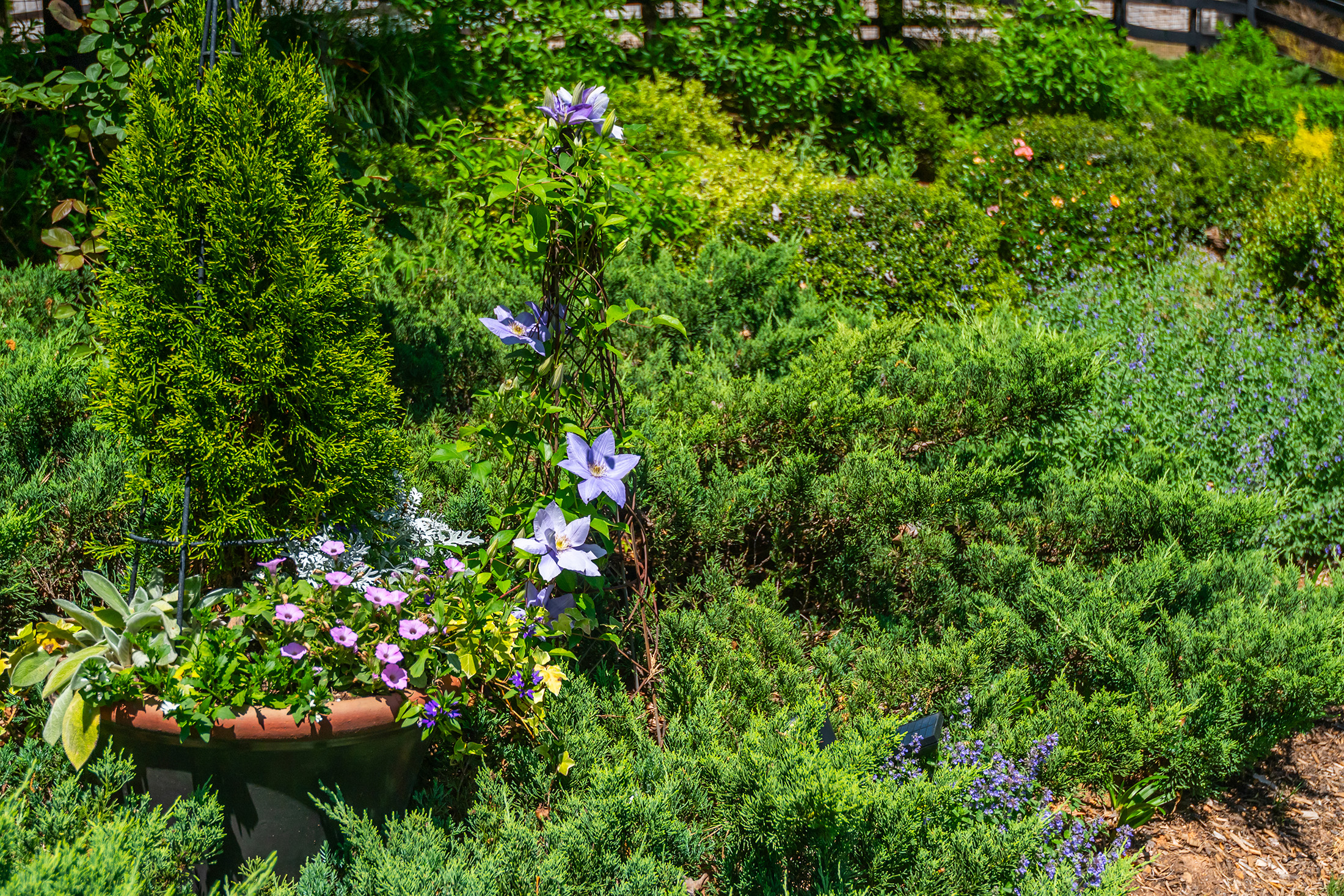  Welcome Home to this Impeccably maintained and Beautifully Appointed Estate - 物件實景