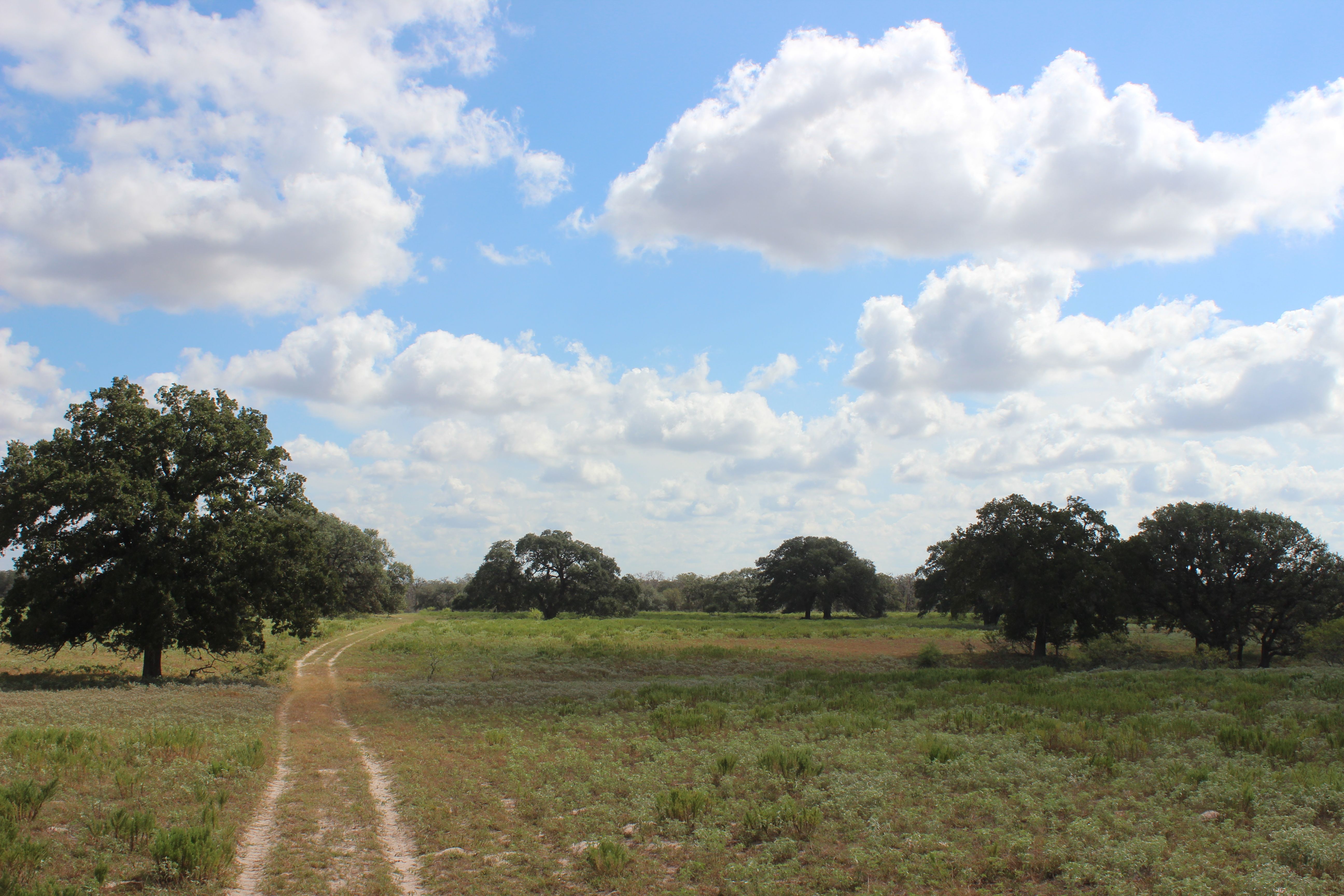  398+/- Acre Grass Pond Colony Ranch - 物件實景