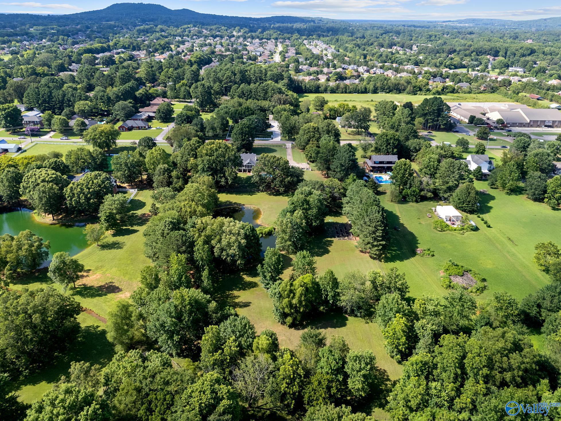  436 Mount Zion Road, Madison, AL, 35757 - 物件實景