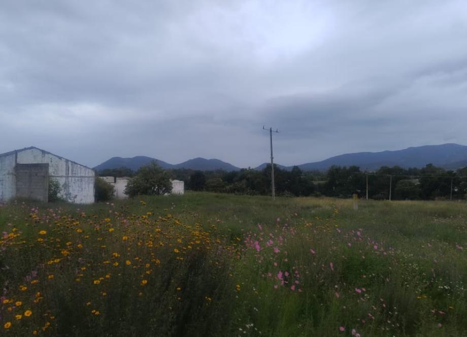 Jilotepec, Estado de méxico, 54250, Mexico, 1 Bedroom Bedrooms, ,Residential,For Sale,1940840