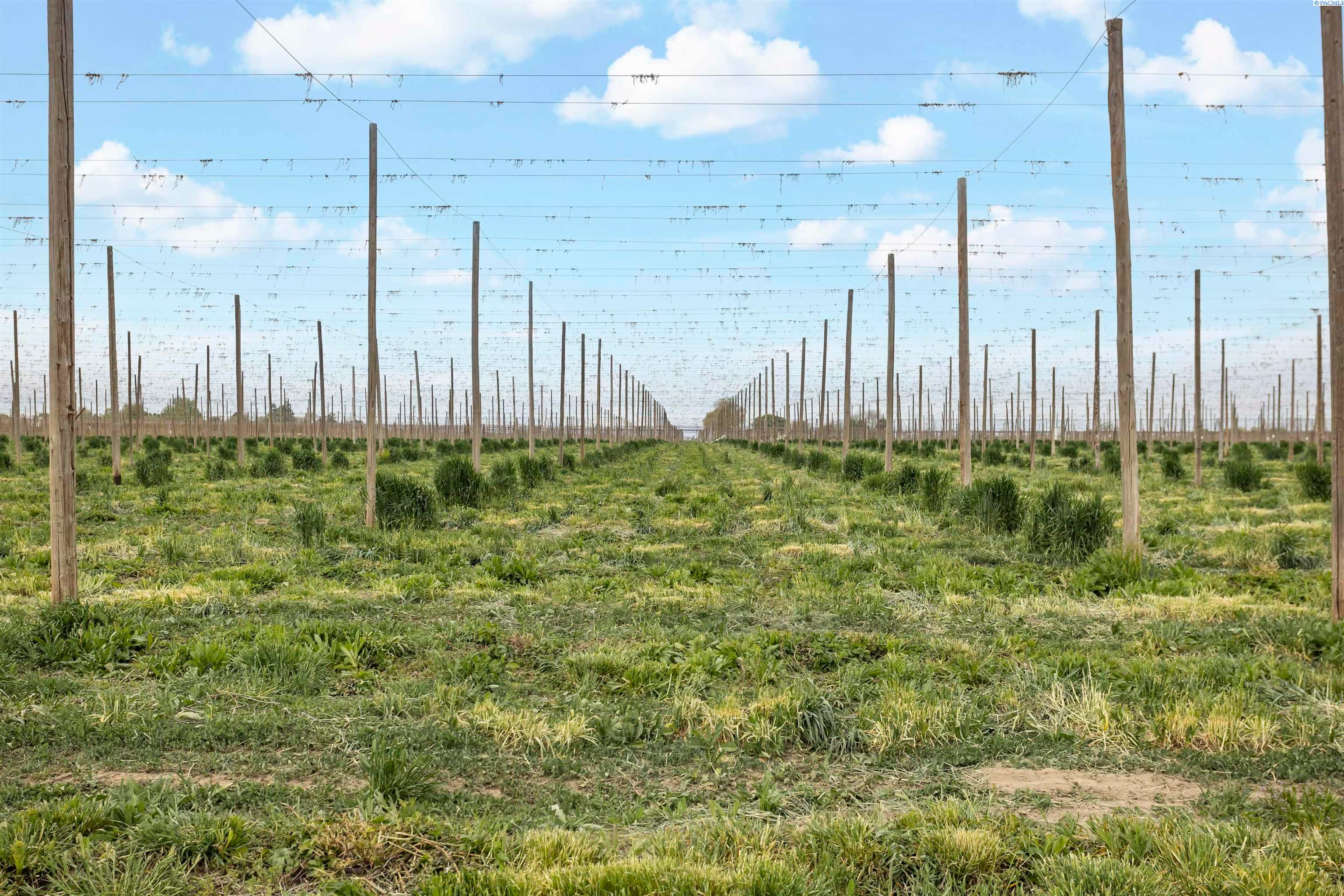 Grandview, Washington, 98930, United States, ,Land,For Sale,1976550