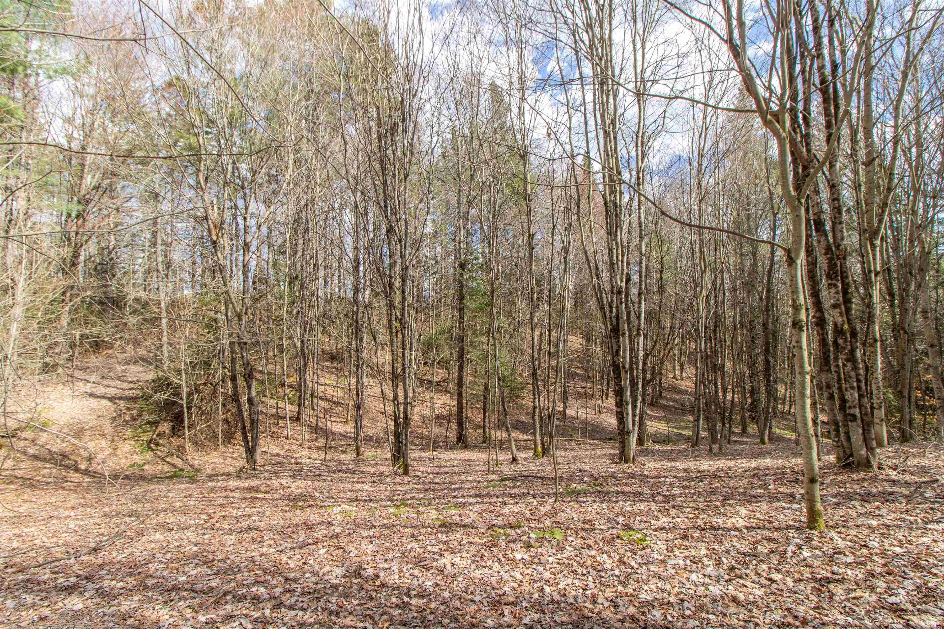 Burke, Vermont, 05832, United States, ,Land,For Sale,2041867
