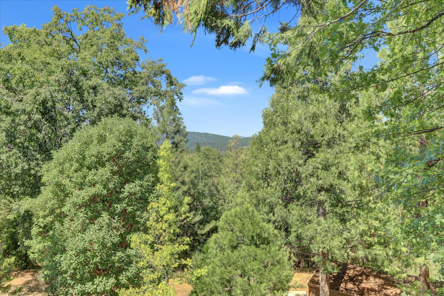 Nevada City, California, 95959, United States, 2 Bedrooms Bedrooms, ,2 BathroomsBathrooms,Residential,For Sale,1982530