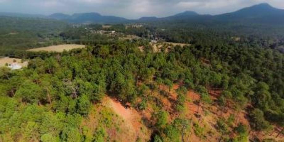 Valle de Bravo, Estado de méxico, 51200, Mexico, 1 Bedroom Bedrooms, ,Residential,For Sale,1721420