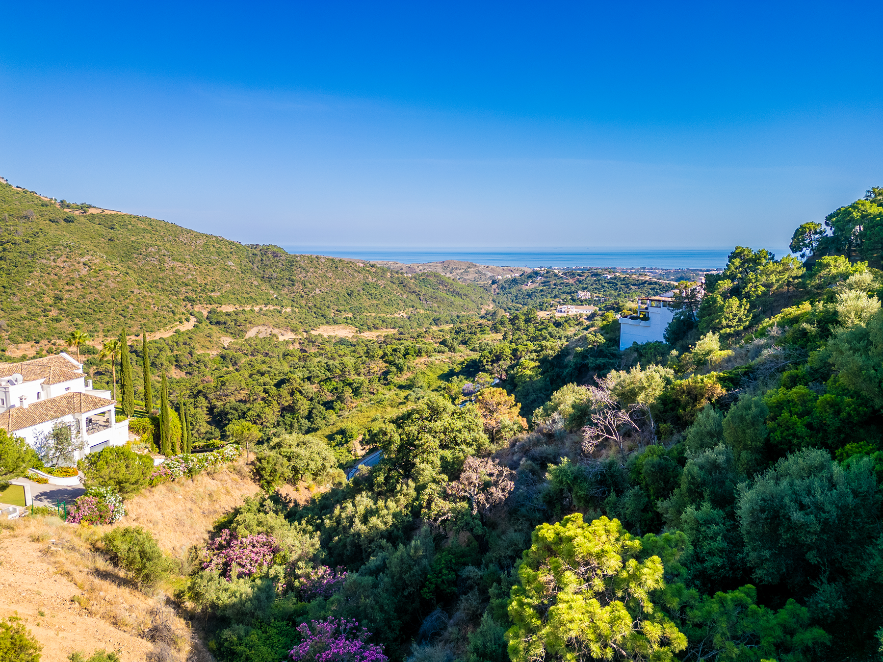  Panoramic sea-view plot in Monte Mayor, Benahavís - 物件實景