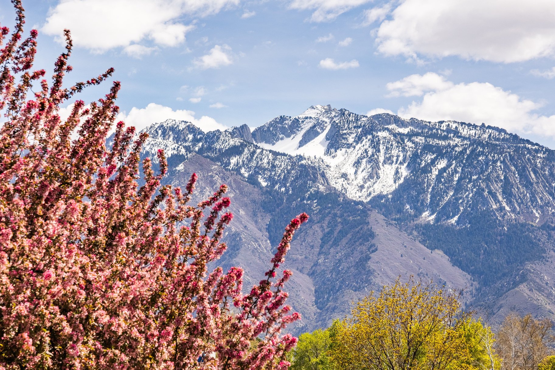  Timeless Split-Entry with Mountain Views - 物件實景