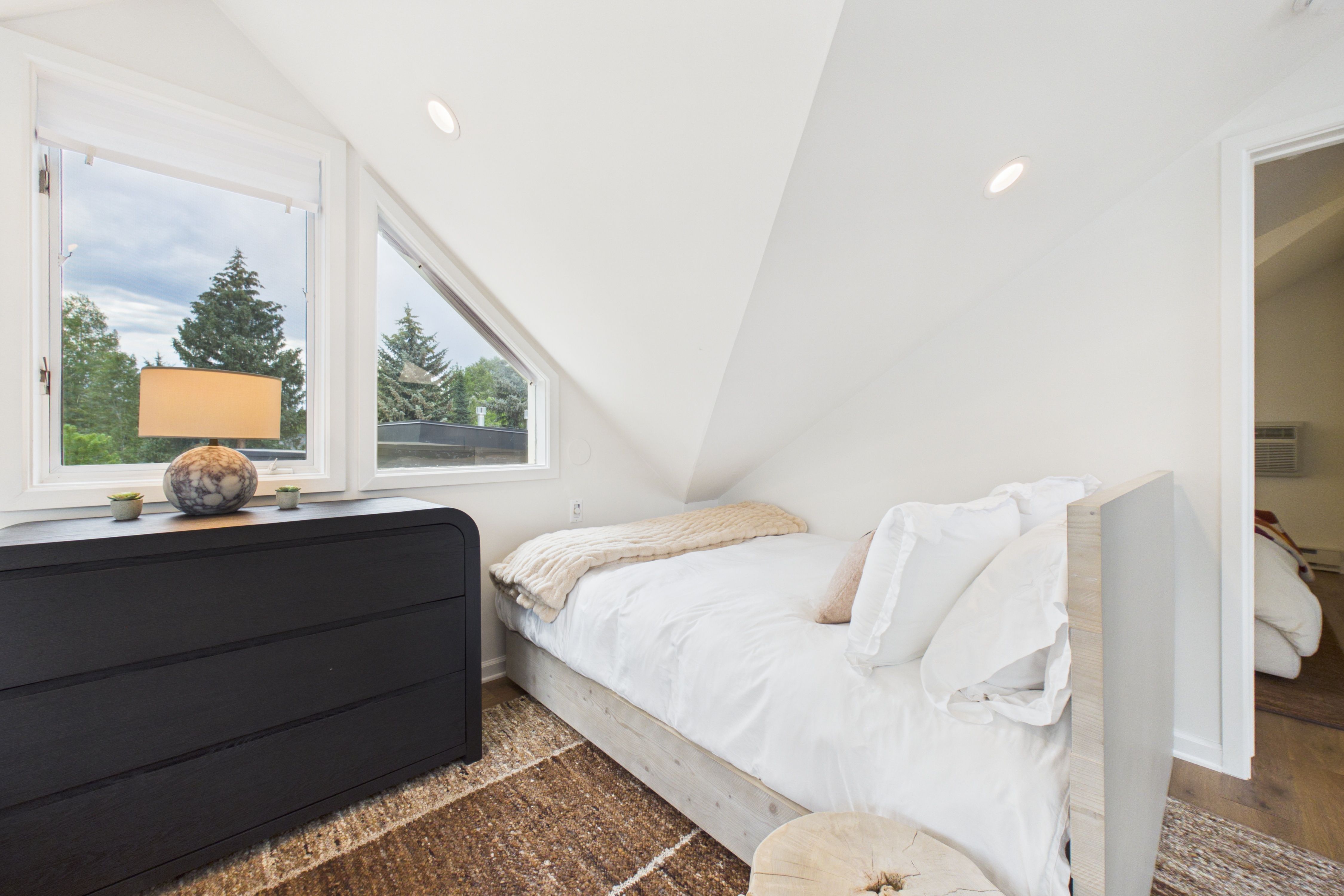 915 East Hopkins Avenue, Aspen, CO 81611 - 物件實景