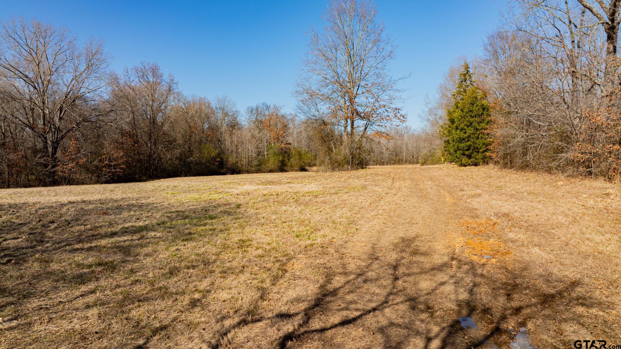 Dekalb, Texas, 75559, United States, ,Land,For Sale,1983481
