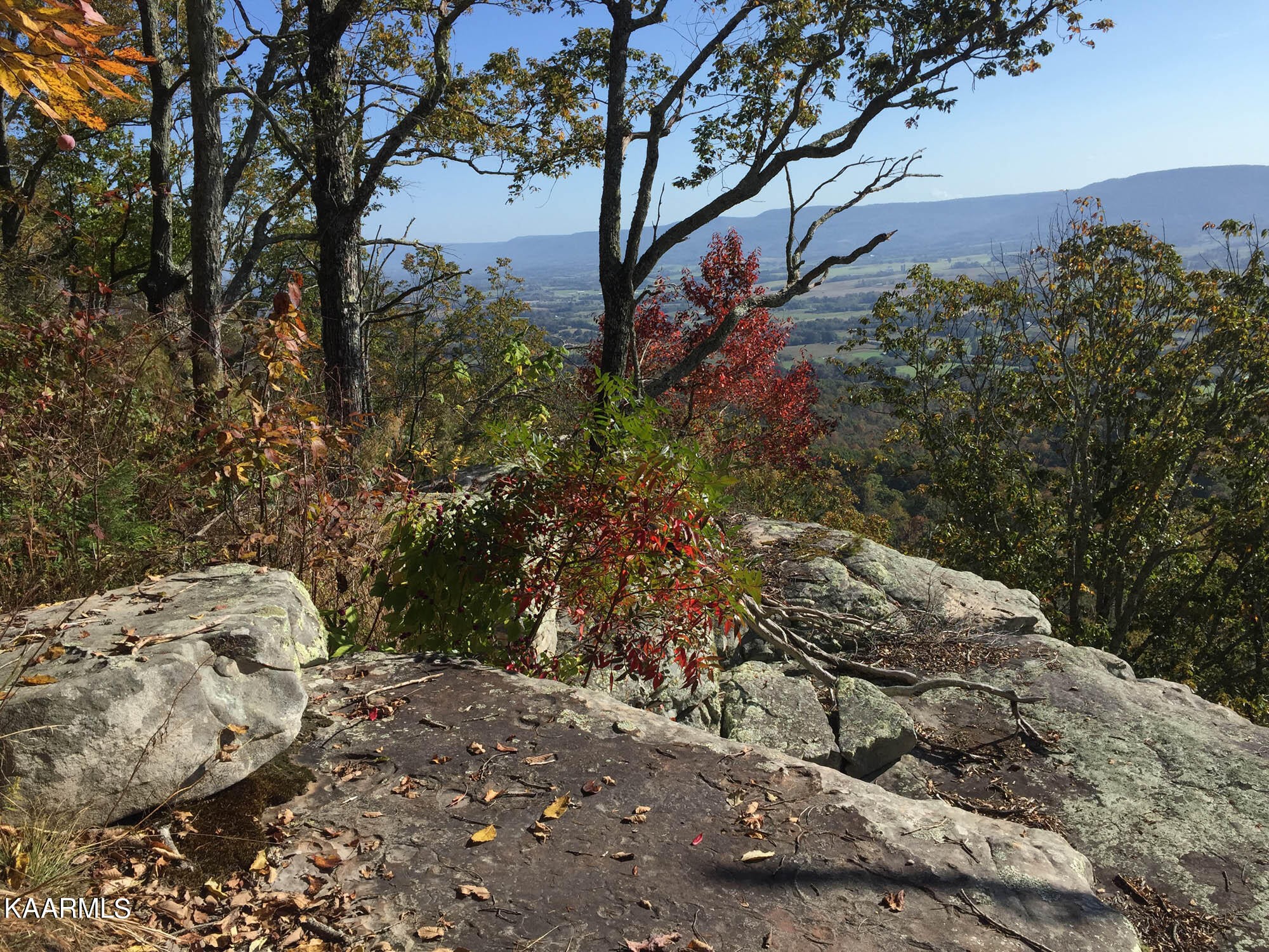 Pikeville, Tennessee, 37367, United States, ,Residential,For Sale,1943070