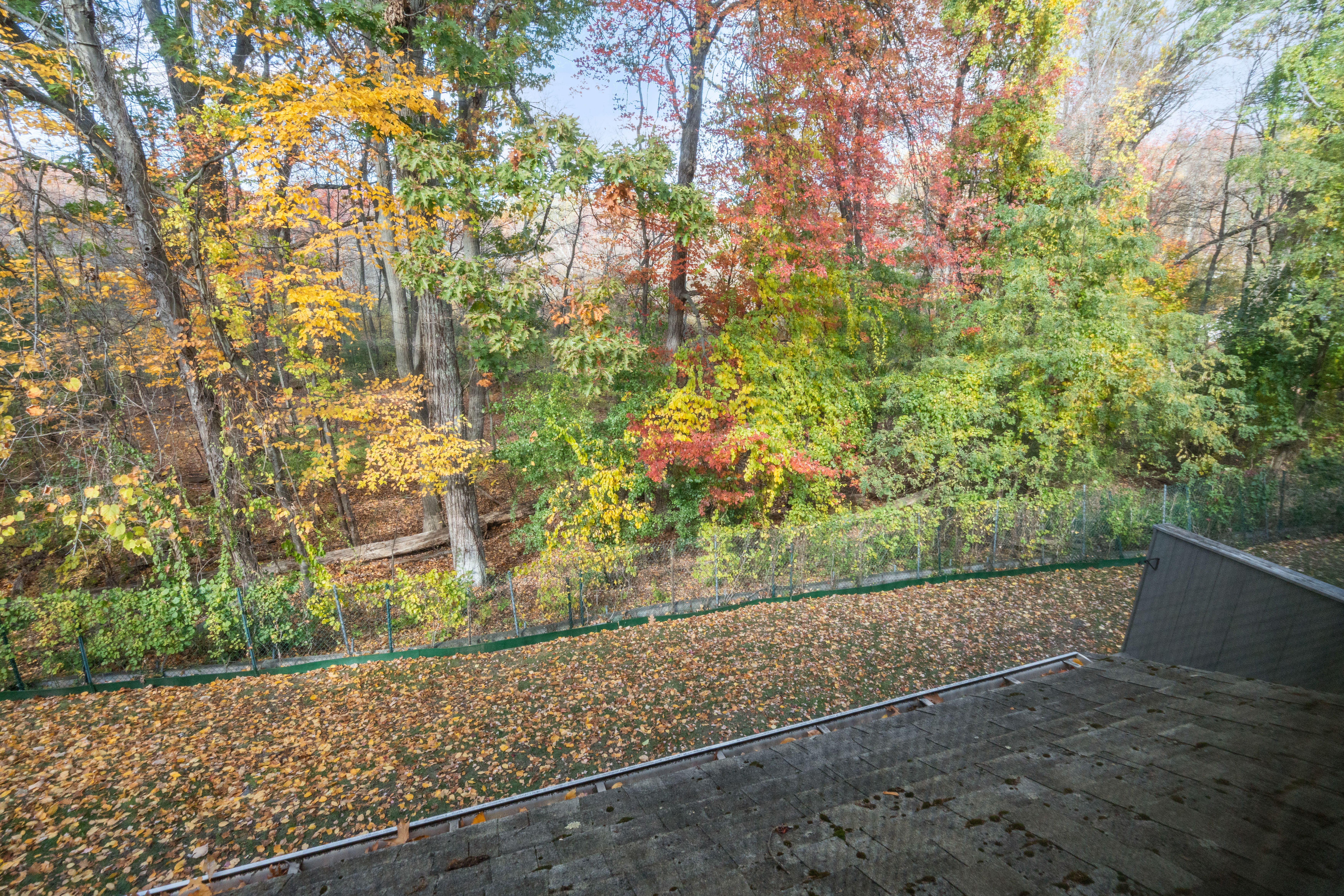  305 Winchester Street, Unit D, Newton, MA, 02461 - 物件實景