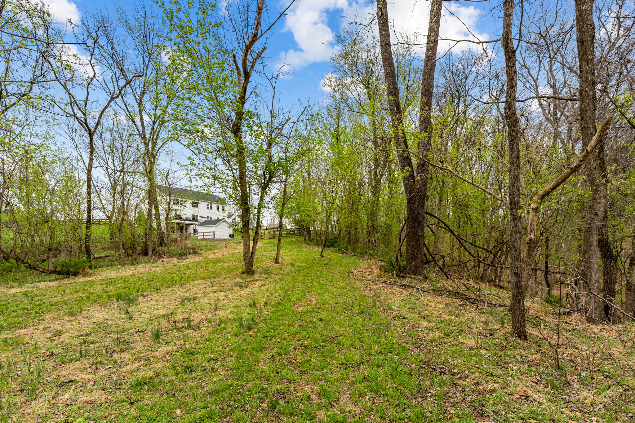  14039 Amys Meadow Court, Leesburg, VA, 20176 - 物件實景