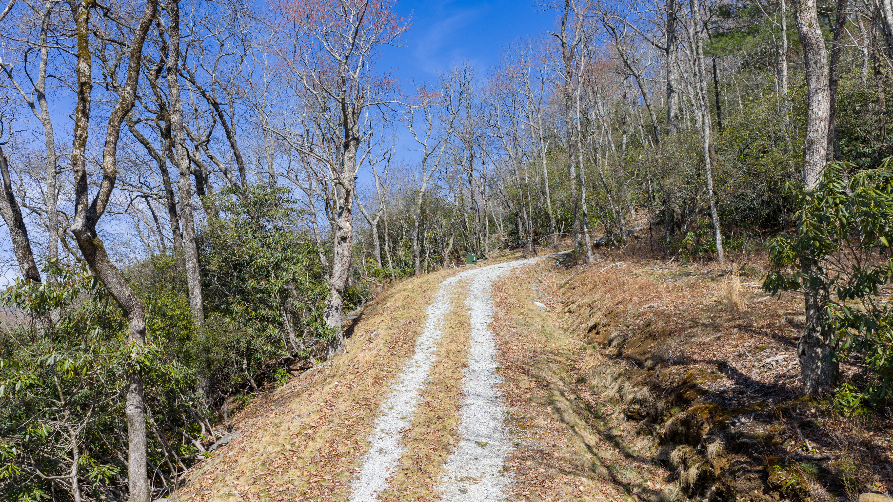  Premier Silver Run Reserve Mountaintop Estate Homesite - 物件實景