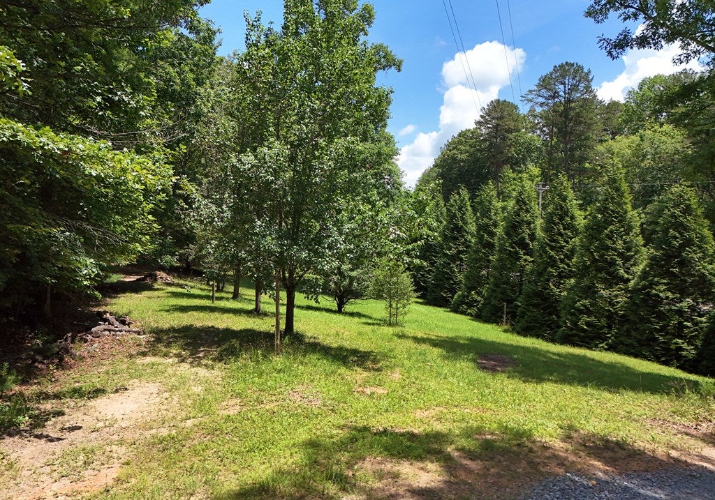Mineral Bluff, Georgia, 30559, United States, 3 Bedrooms Bedrooms, ,3 BathroomsBathrooms,Residential,For Sale,1882955