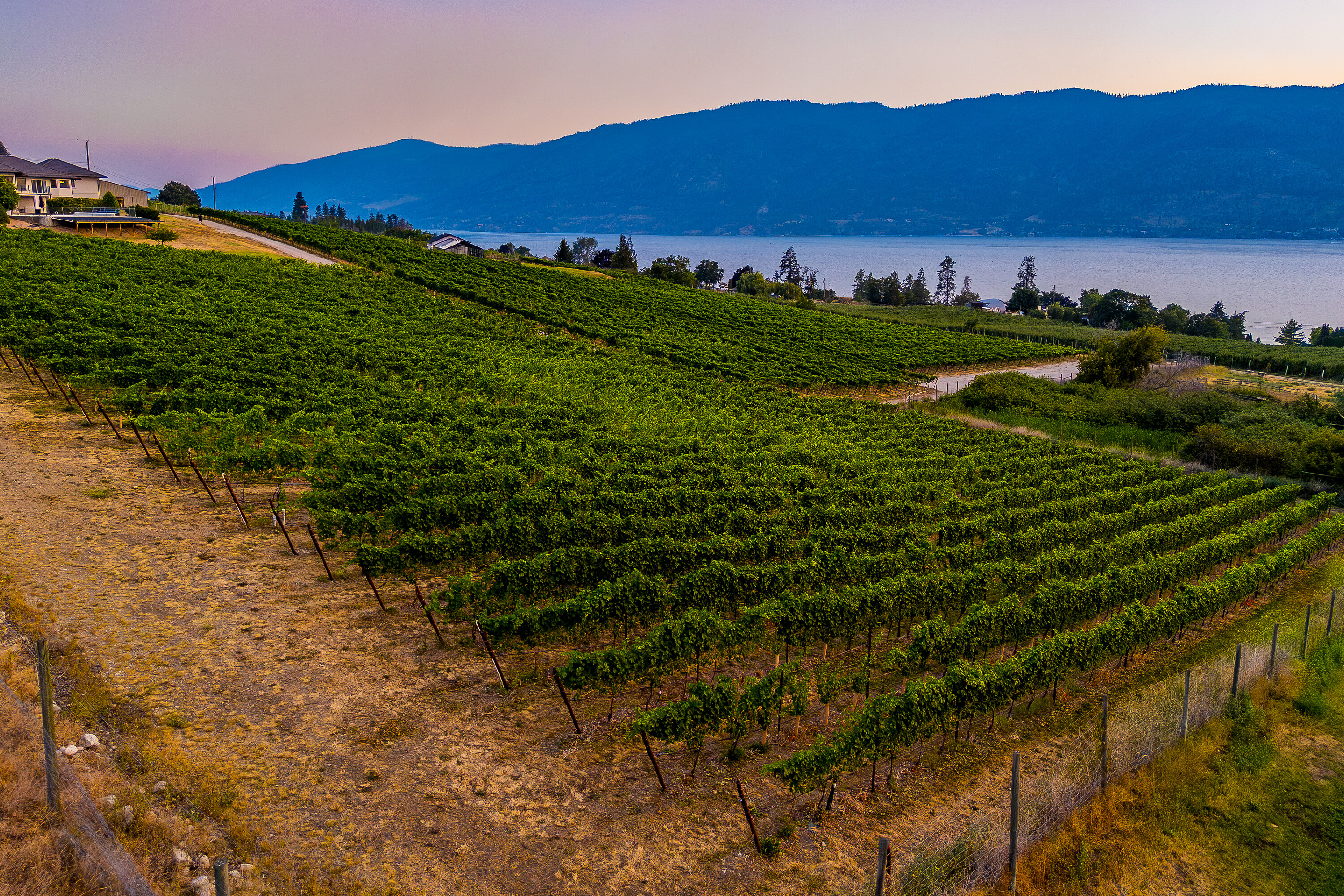  Scenic Vineyard Home - 物件實景