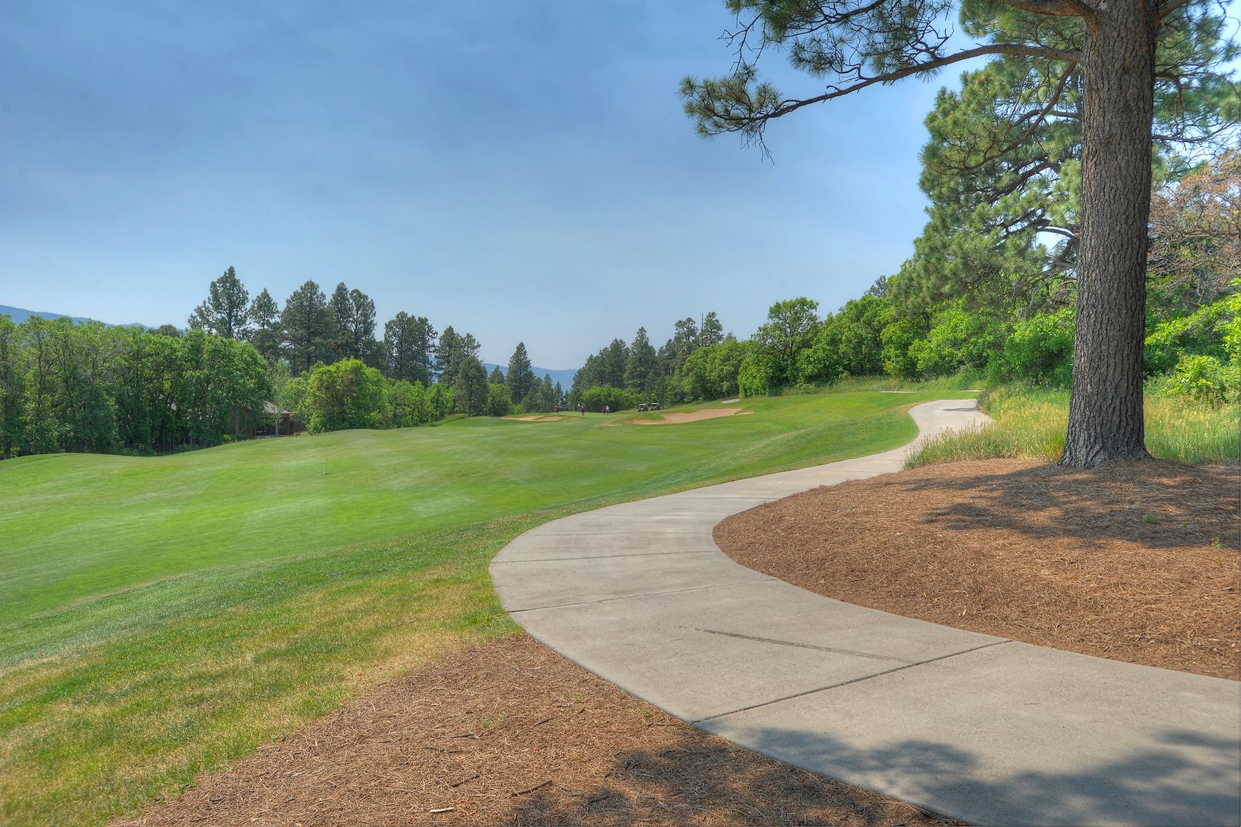  961 Tamarron Drive,  #615 Durango, CO 81301 - 物件實景
